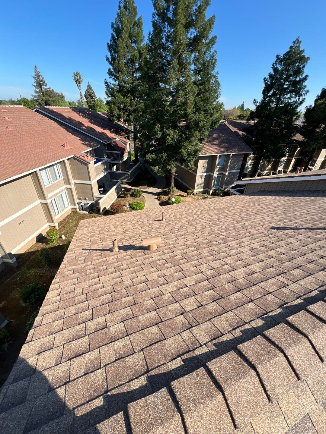 Removed tile from roof and replaced with shingles by Straight Edge Roofing Inc