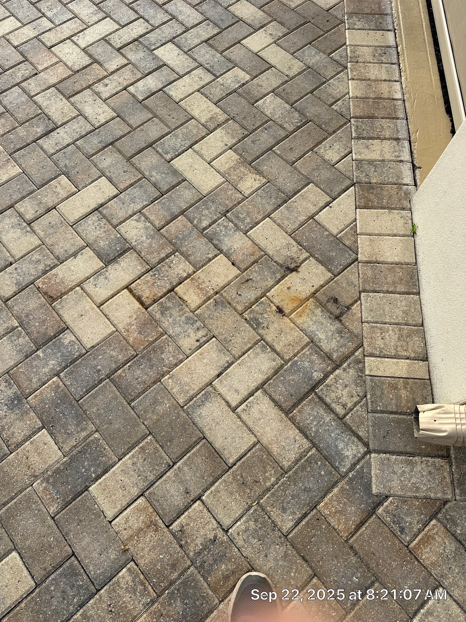 Herringbone Paver Sealing and Restoration in Sun City Center by Supreme Paver Experts