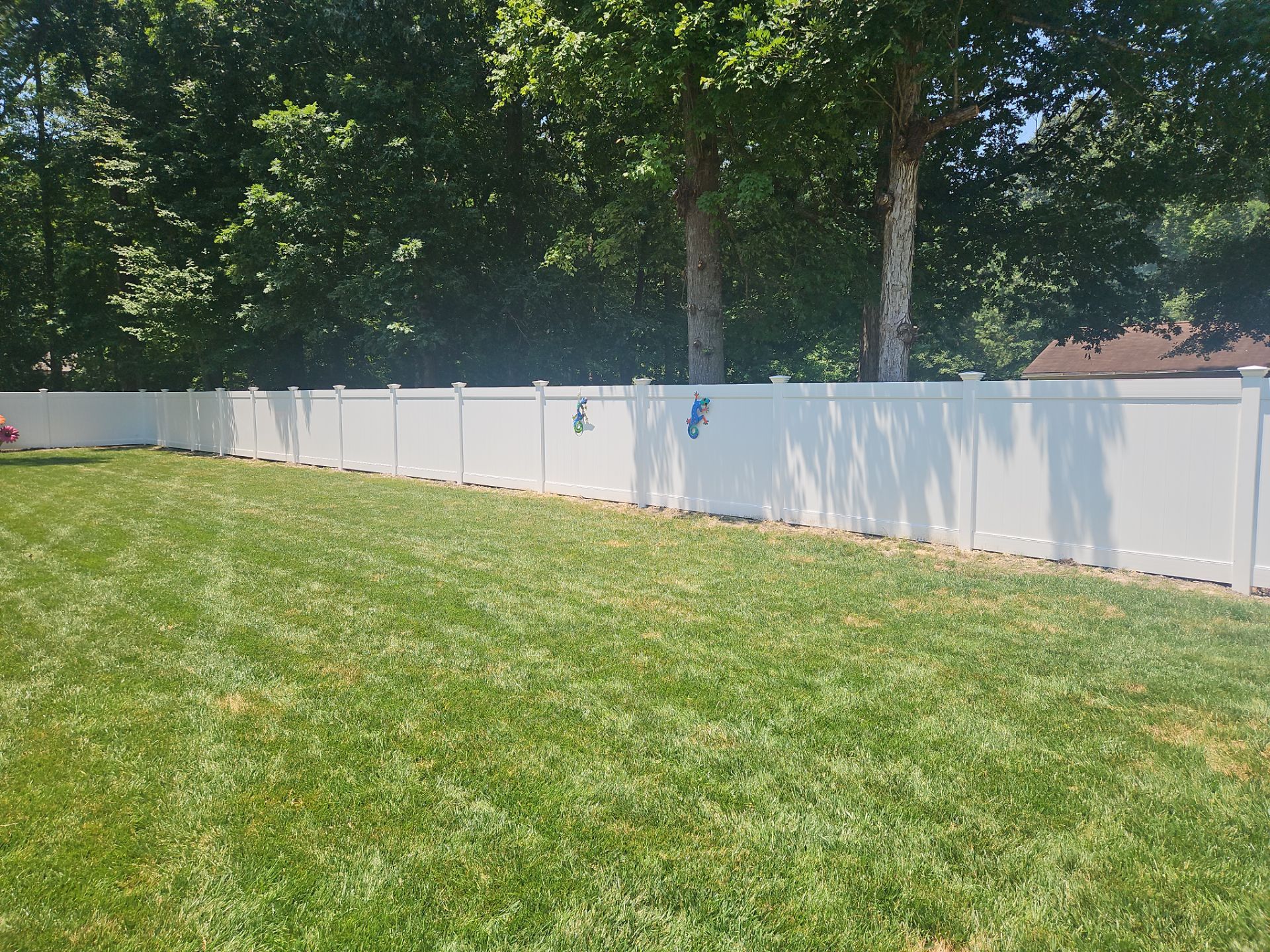 Sleek, Strong, and Built to Shine by Tidewater Fence