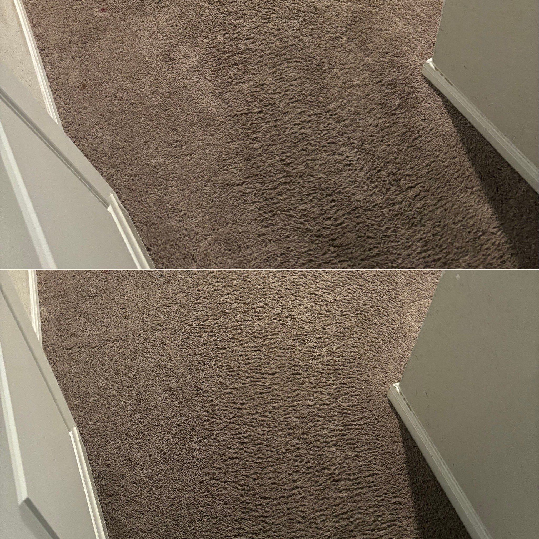 the service being done is carpet cleaning showing before and after results with noticeable improvement in cleanliness and appearance