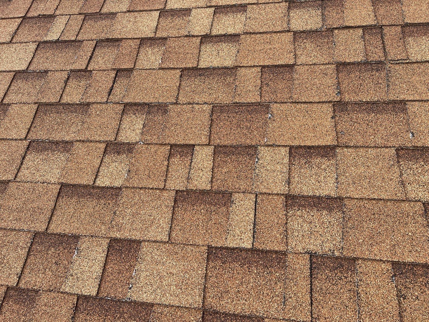 Jenna's Re-Roof and Ridge Vents by All Storm Roofing & Construction