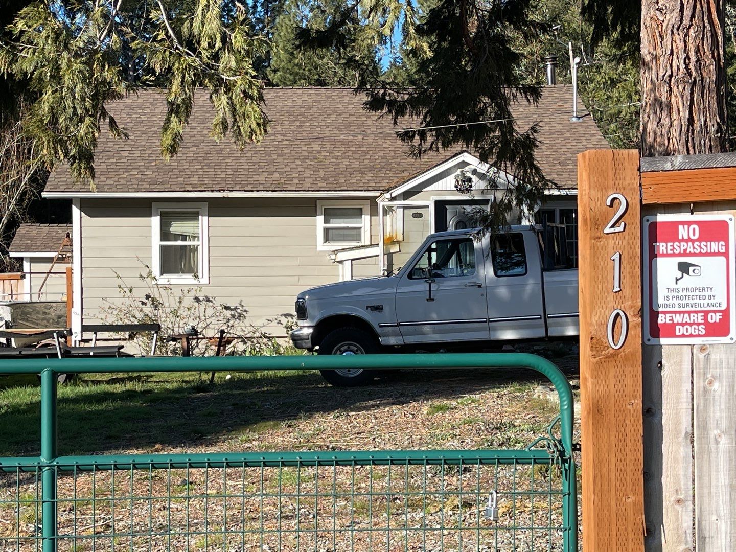 Silver Birch Shingles by Reimagine Roofing