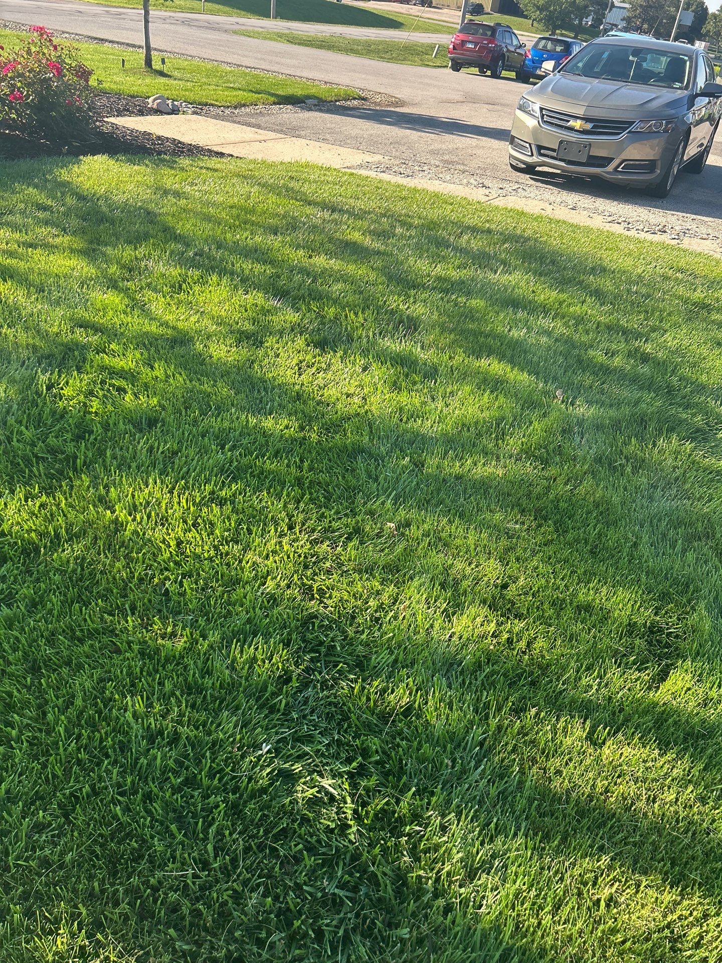 Custom Lawn QC visit  by Custom Lawn And Landscape