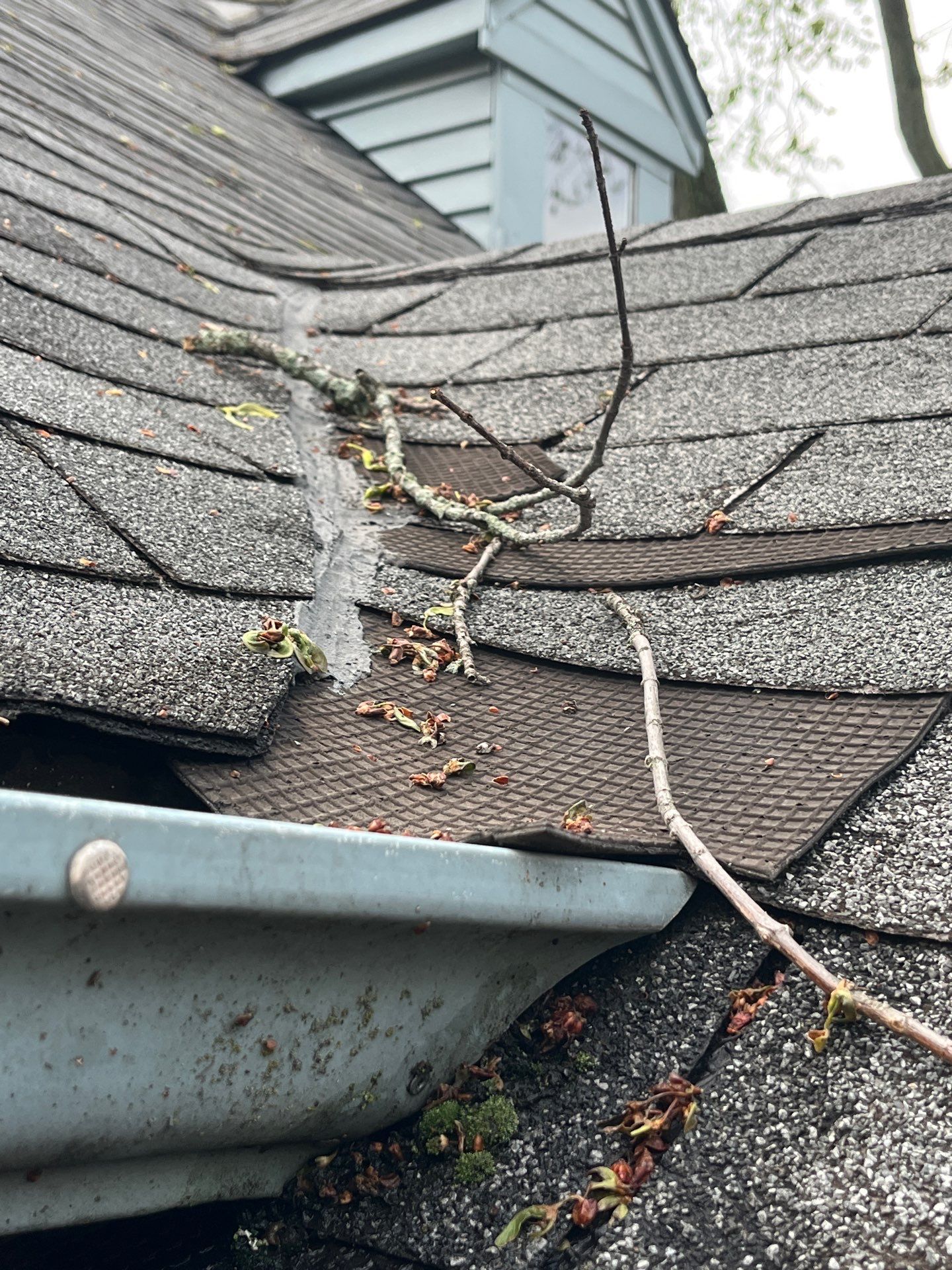 Roof Replacement using Owens Corning Estate Gray by 180 Contractors