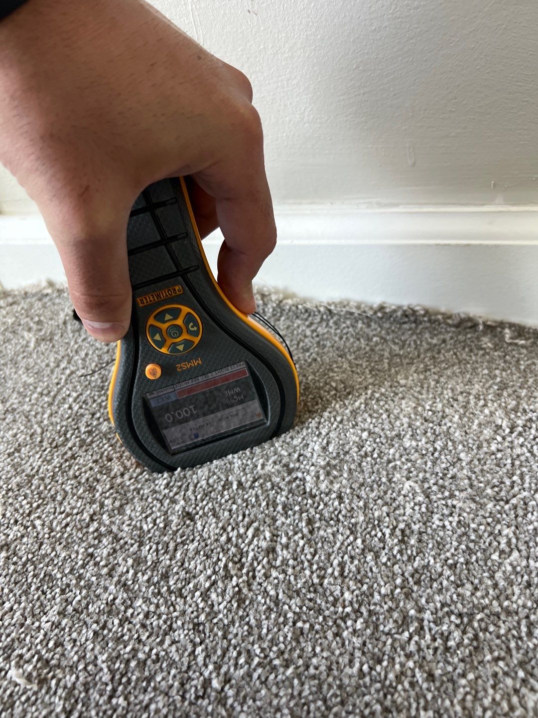 Project in Novi by EzDry Water Mitigation & Property Restoration