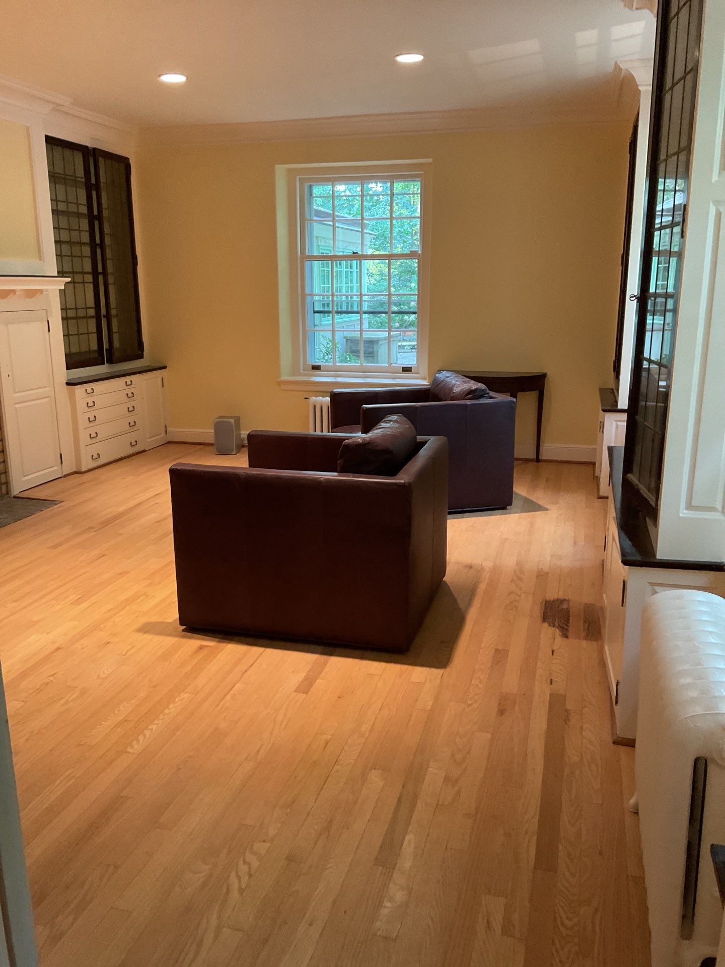 Whole-Home Interior Refresh in Mt. Airy by Groovy Hues