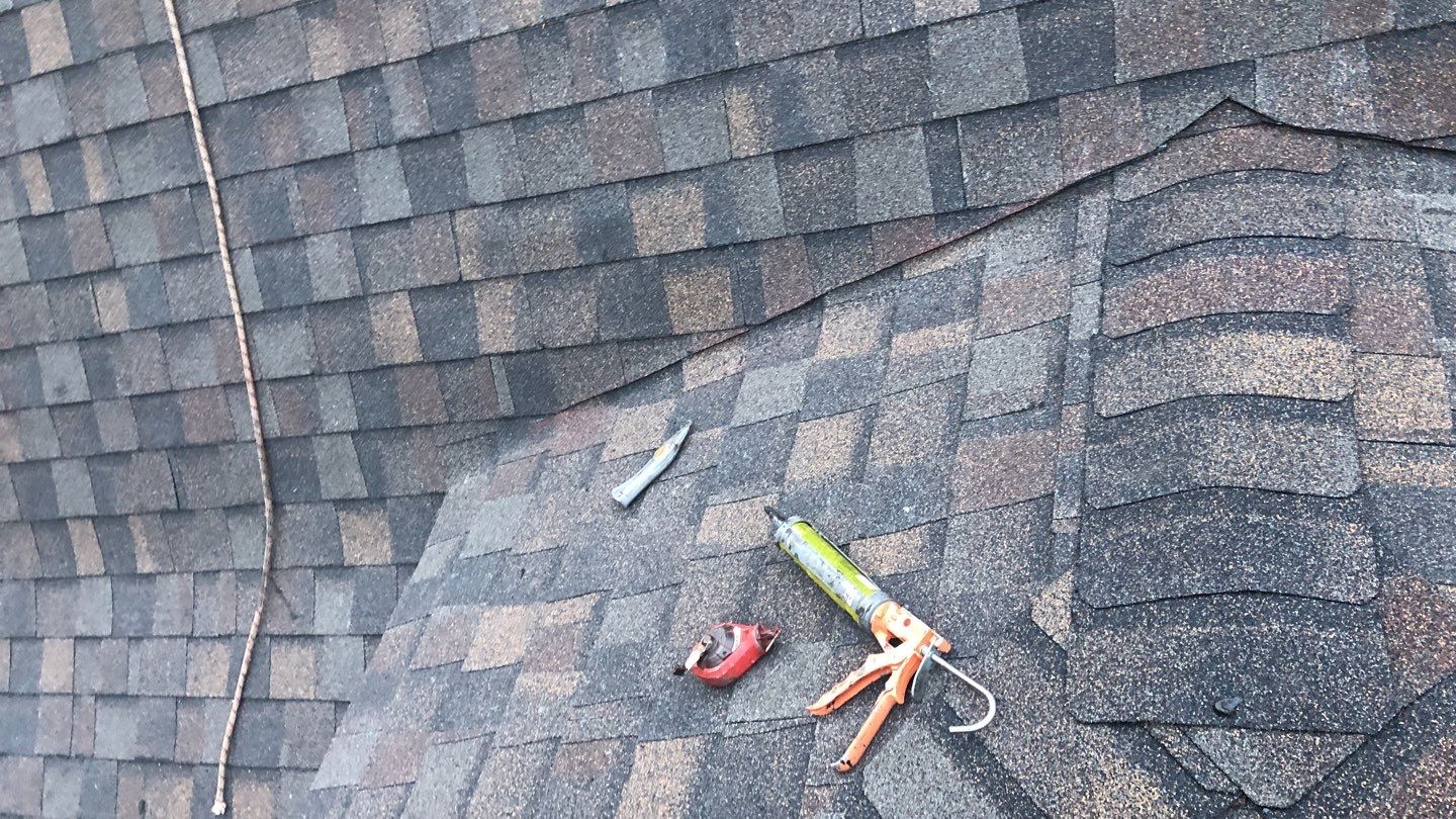 Arlington: CertainTeed Landmark Pro Designer Shingles in Max Def Shenandoah by RM Banning, Inc.