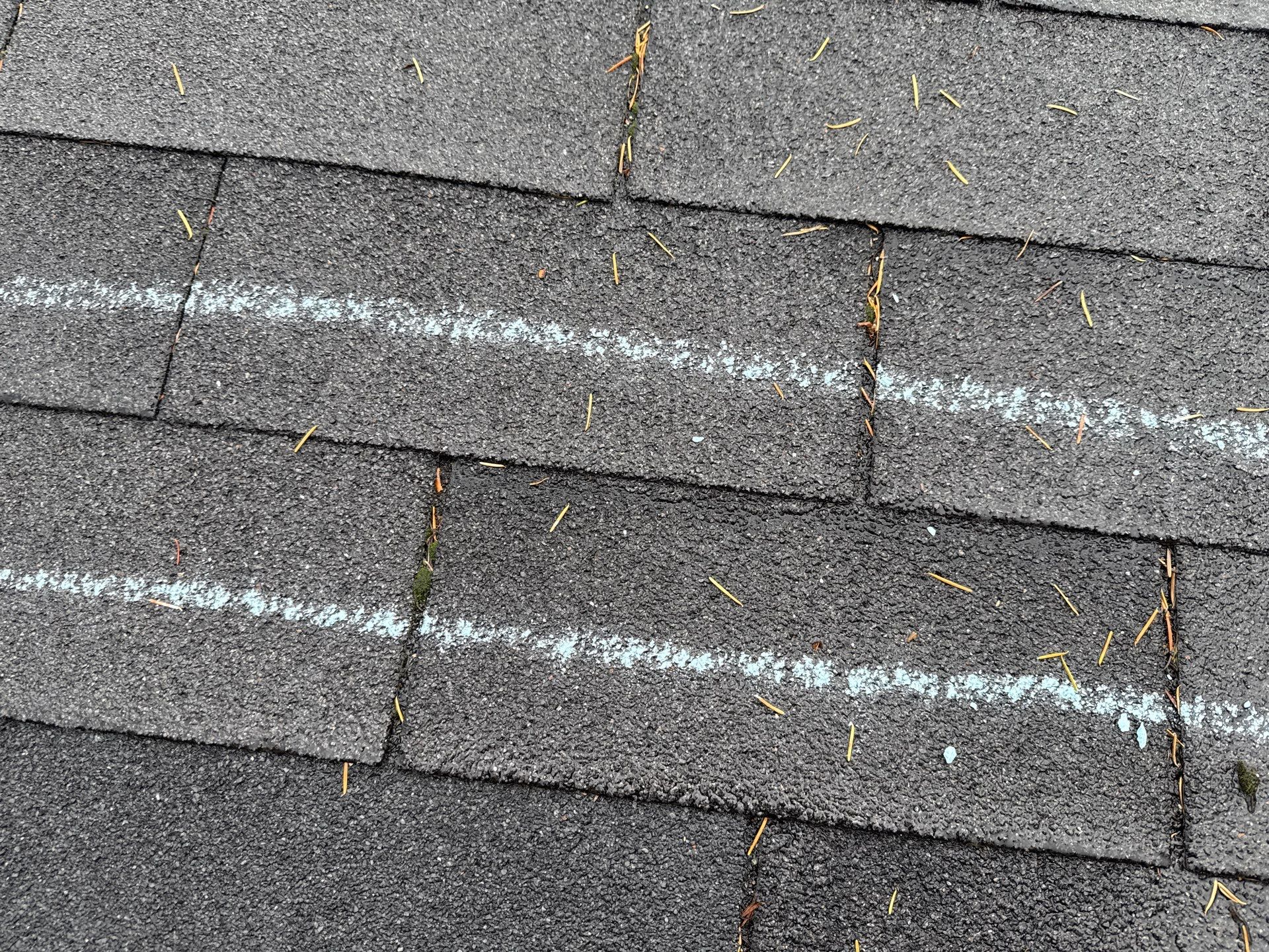 GAF Timberline NS Pewter Gray  by Proline Roofing & Restoration LLC