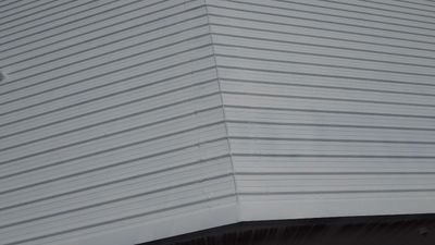 Project in Bolivar