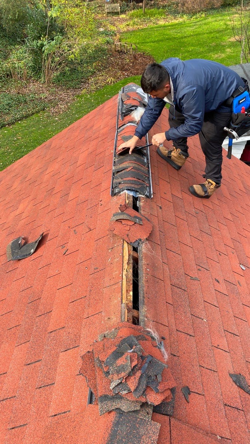 Alexandra: Residential Metal Roofing  by RM Banning, Inc.