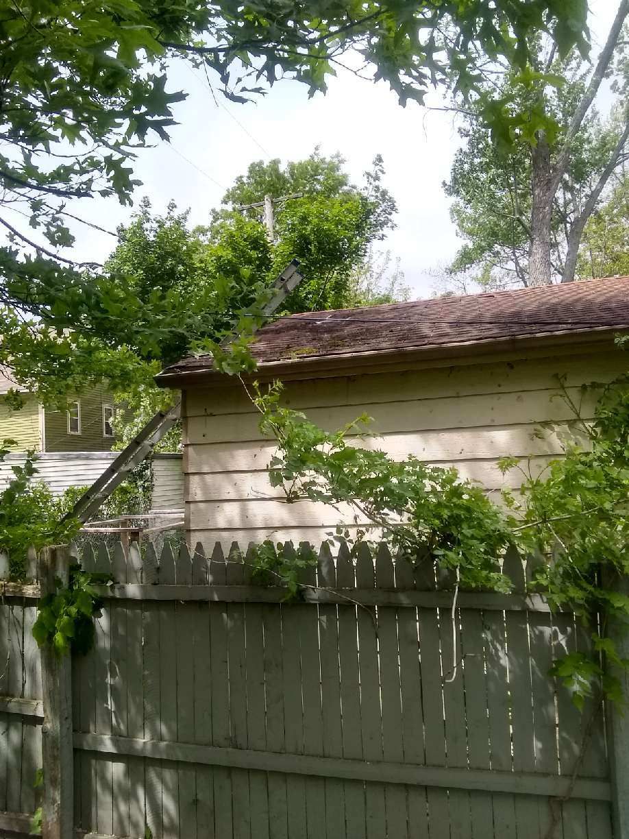 Tree Removal using Tree Removal by Mike Jones & Sons Tree Service LLC 