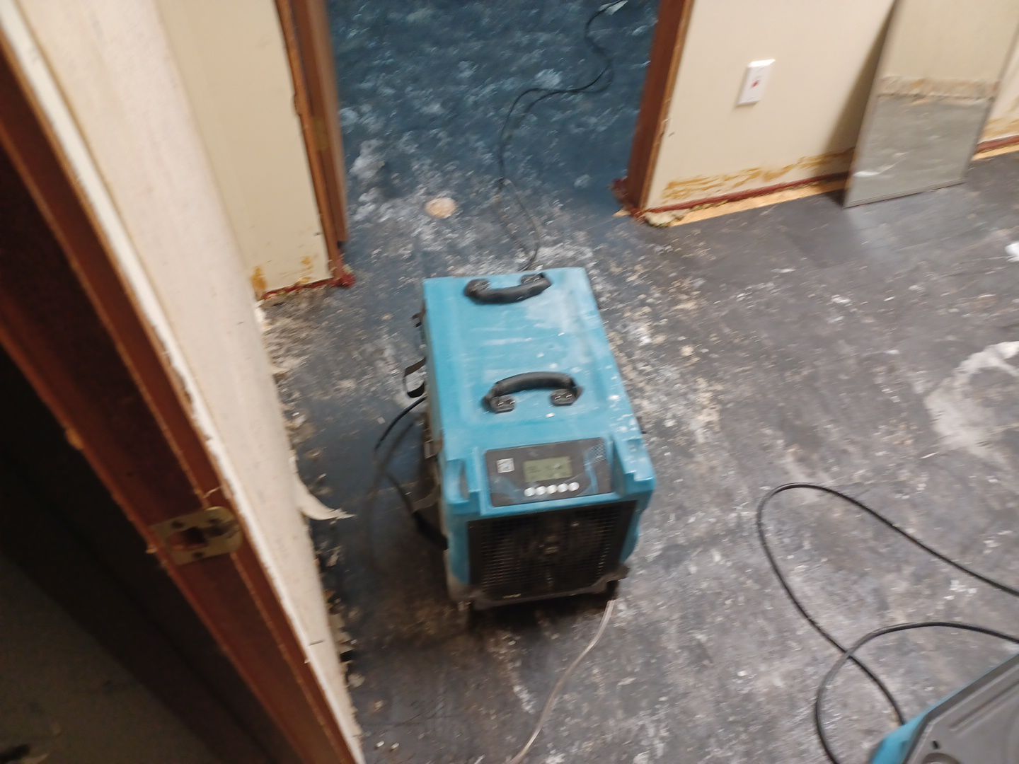 Project in Royal Oak by EzDry Water Mitigation & Property Restoration