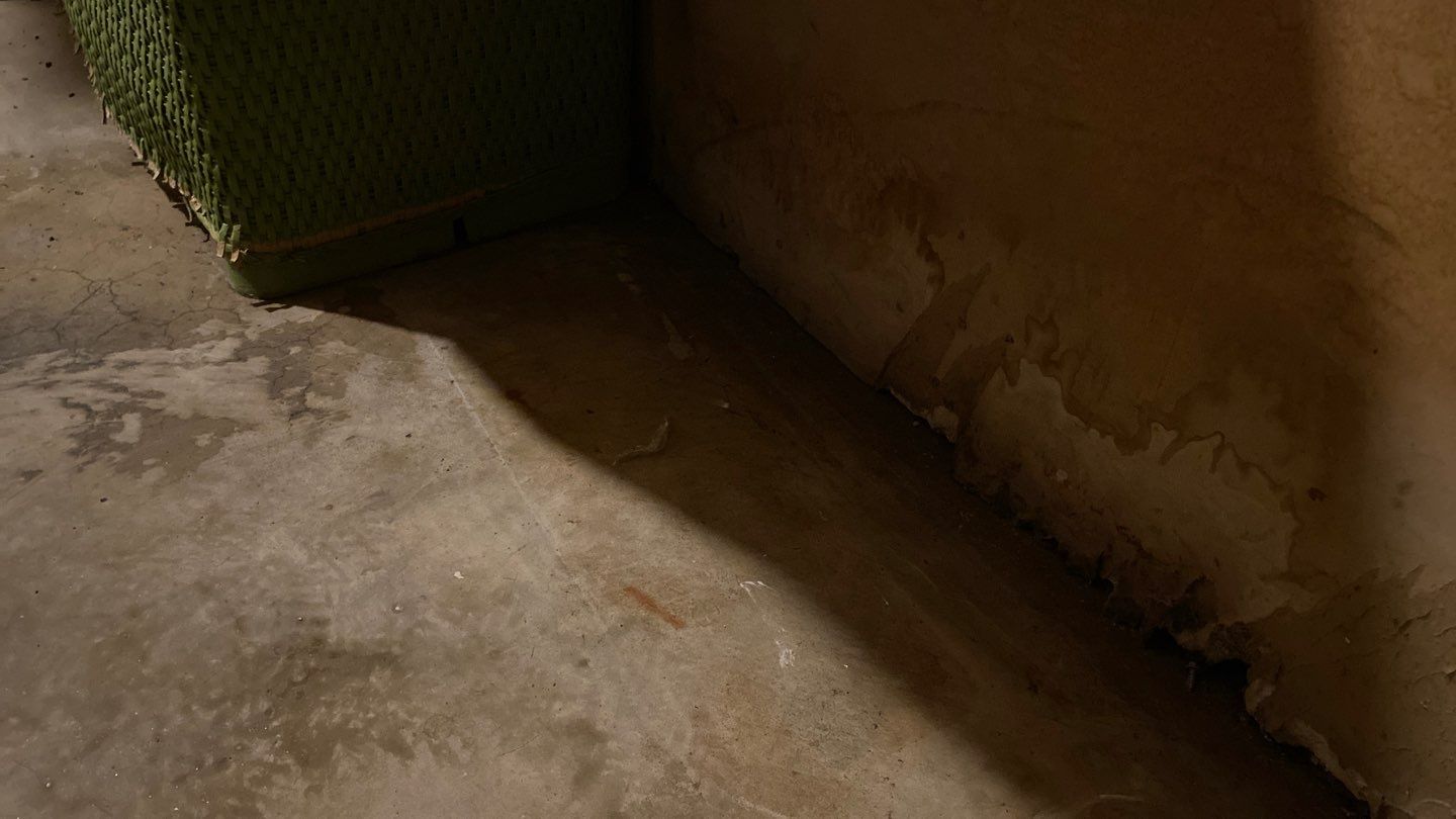 Water Damage  by Accountable Home Services