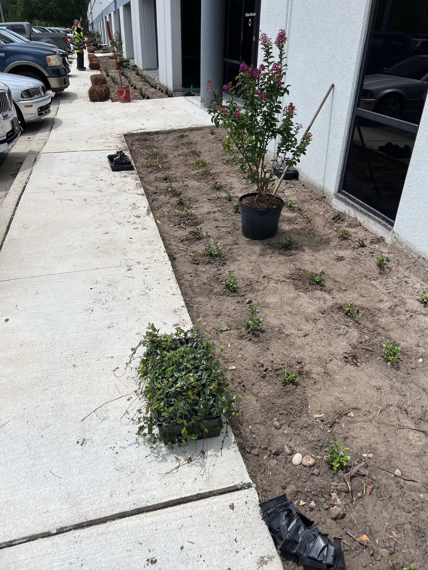 Large Landscape Project | Center Point by ProGreen Services