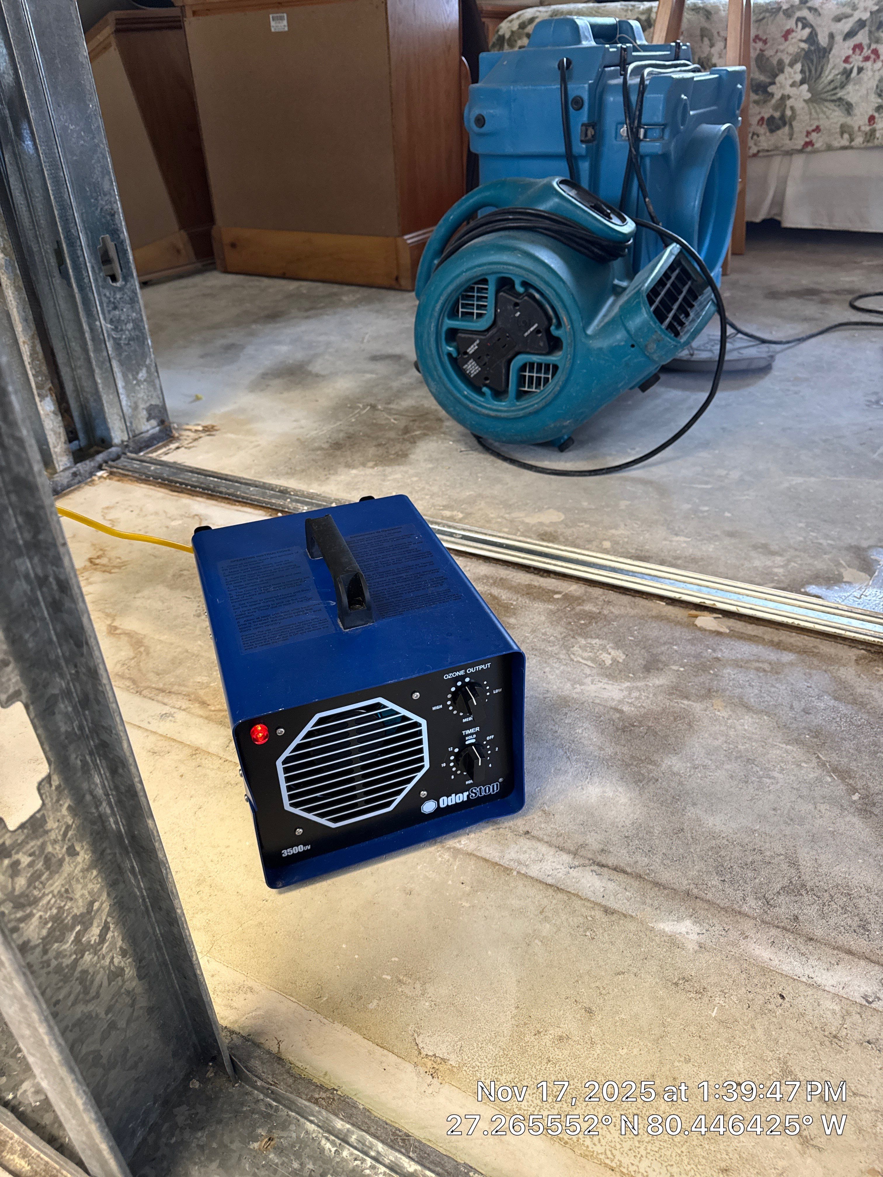mold by SuperClean