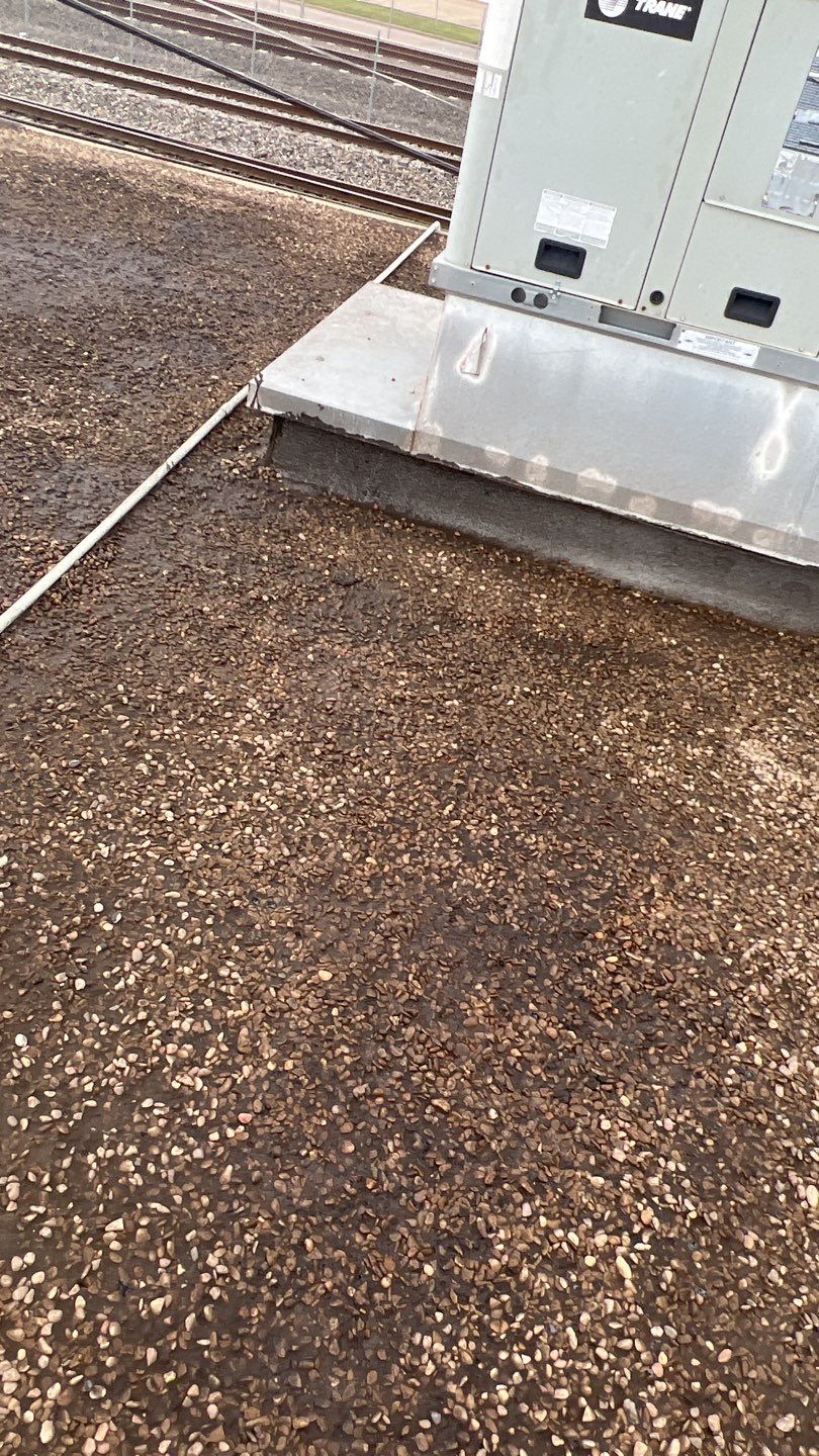 Foam & Metal Roof Restoration – Thermo Sensors (Garland, TX) by All Star Roofing LLC