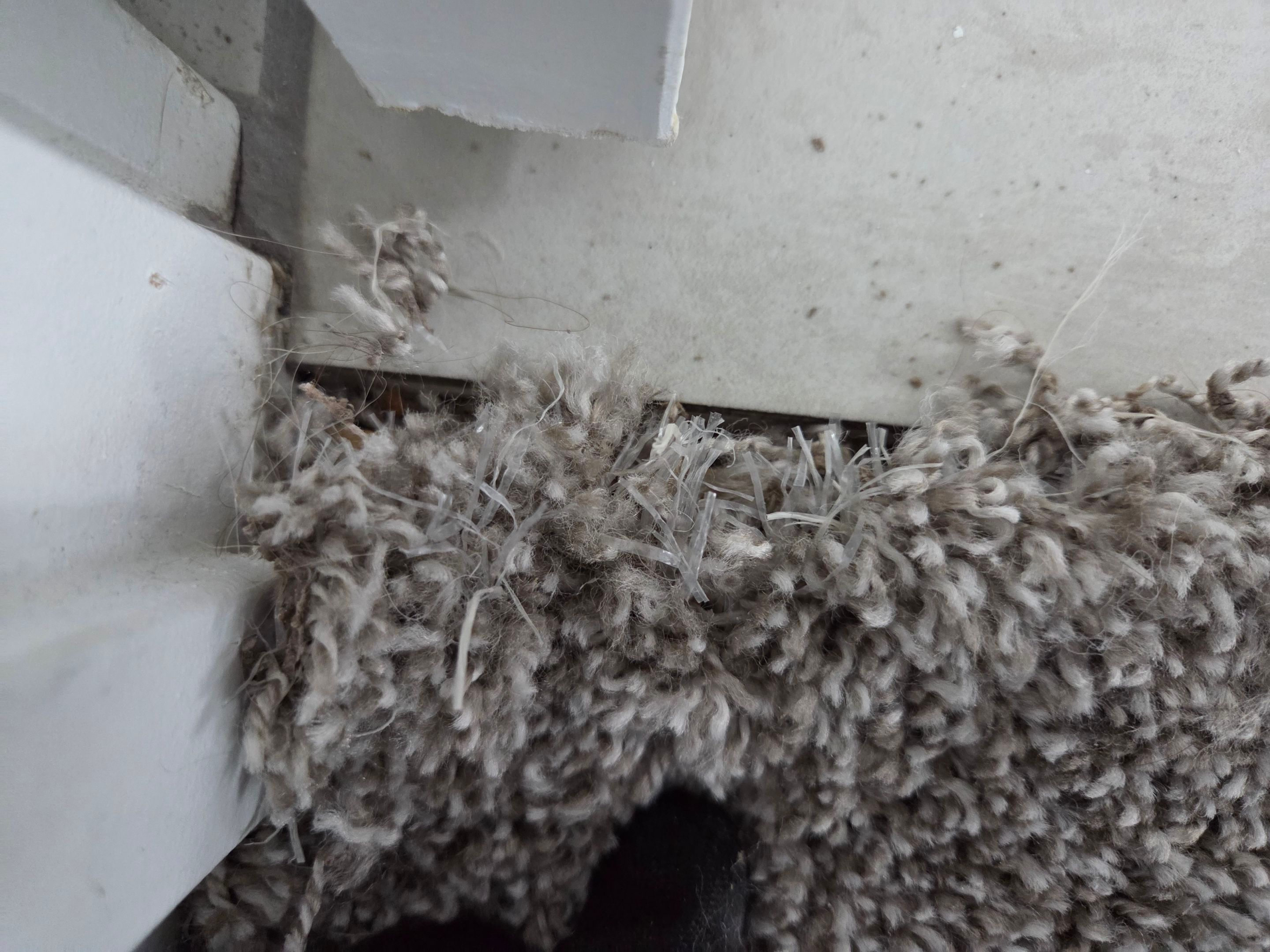 Repairing Frayed, Damaged Carpet by Ardent Carpet Restore LLC