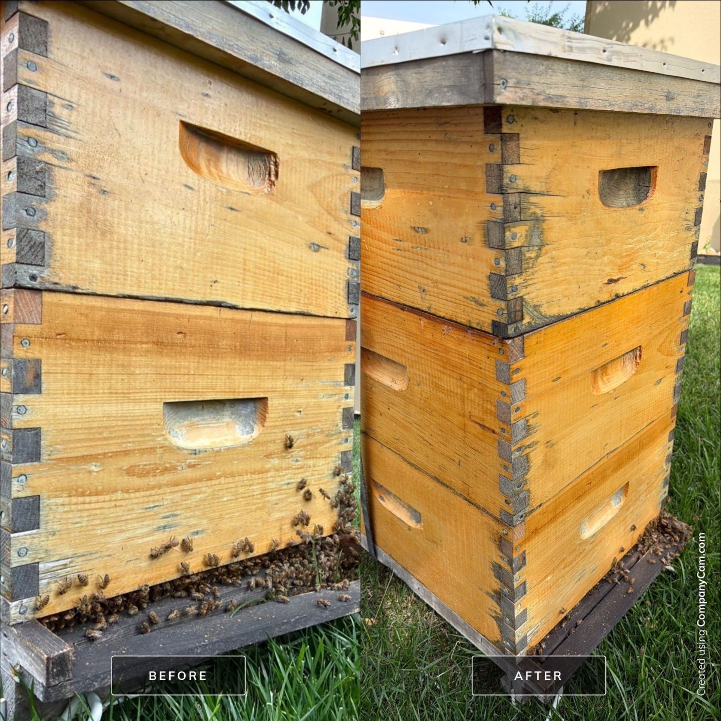 Allen Company by Rockwall Honey Bee Company