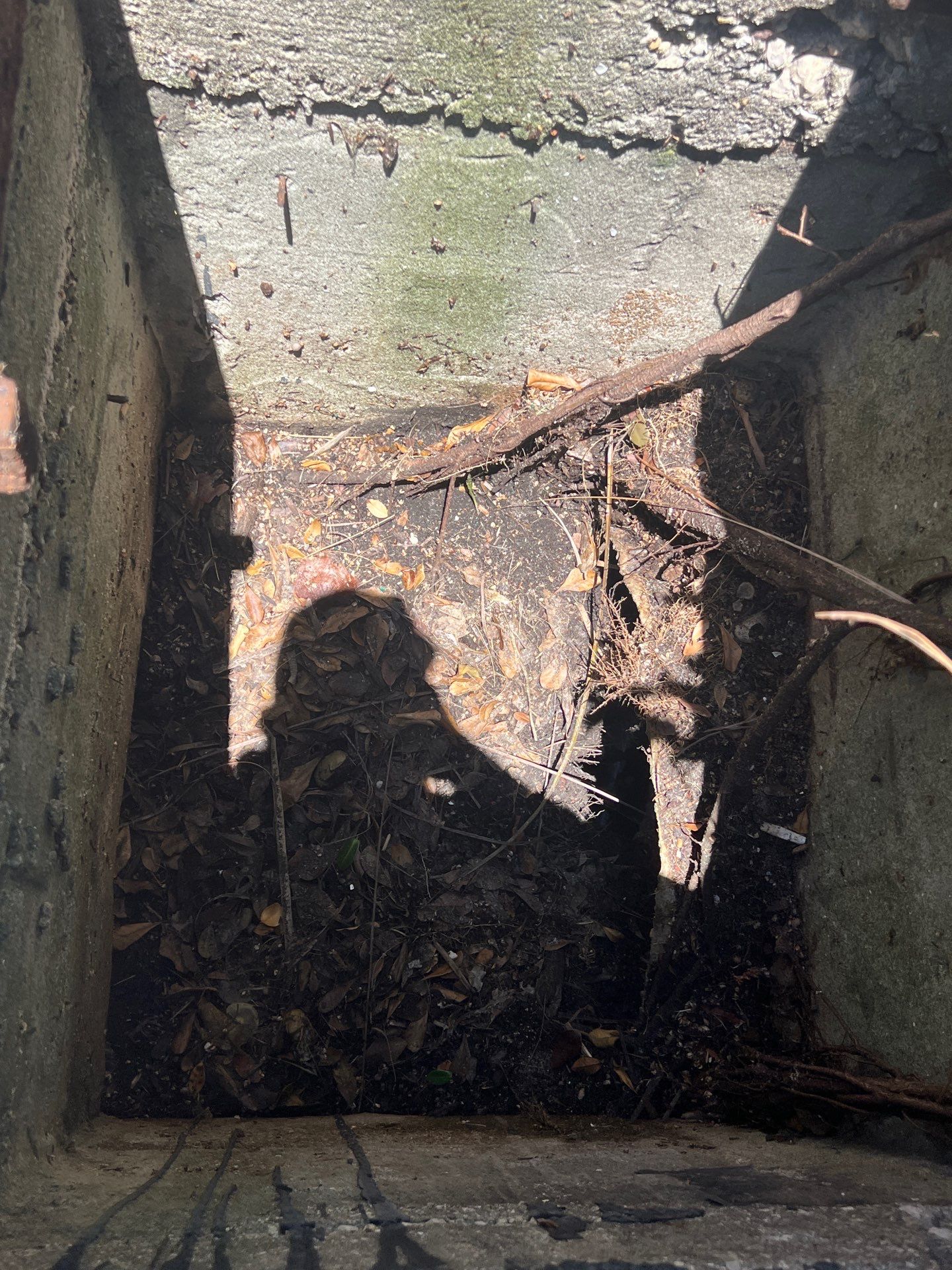 Marco Island Condo Stormwater System Maintenance and Standing Water Removal by APS Power & Water