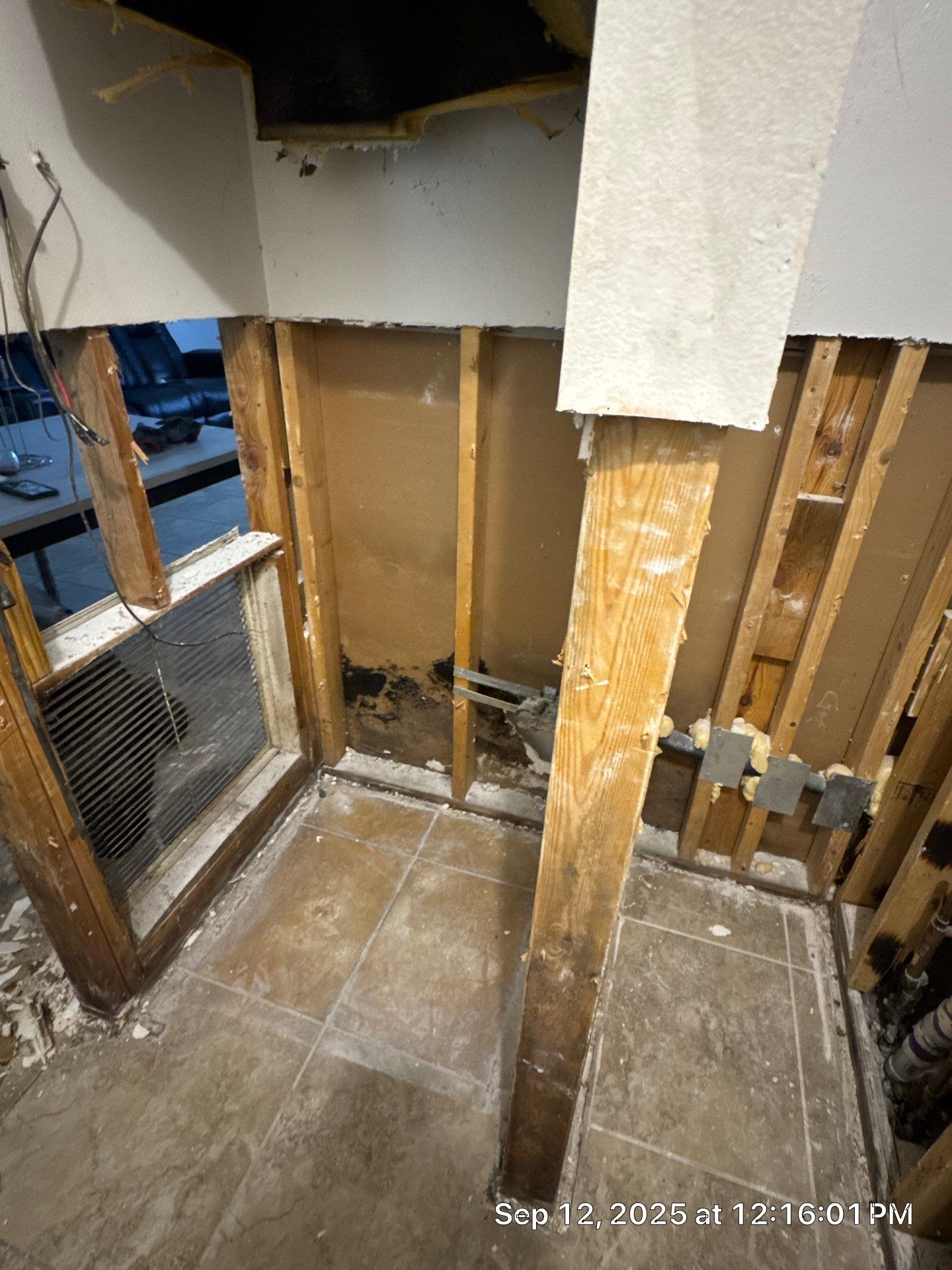 mold remediation by SuperClean