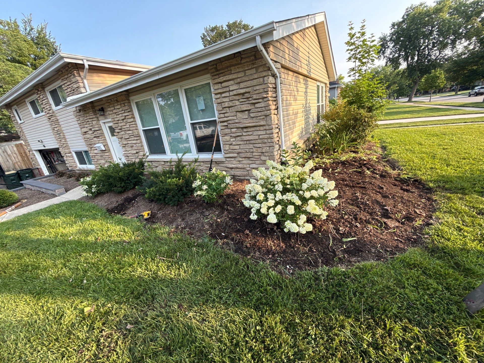 Jamie E. - Arlington Heights, IL by A&N