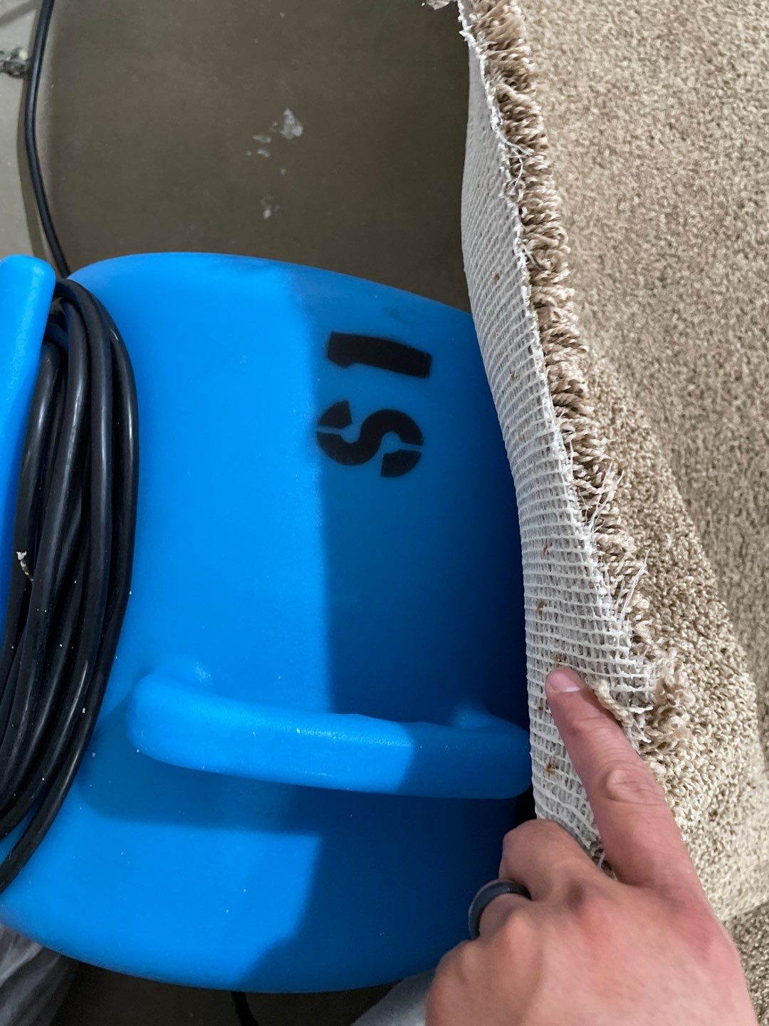 Water Damage  by Accountable Home Services