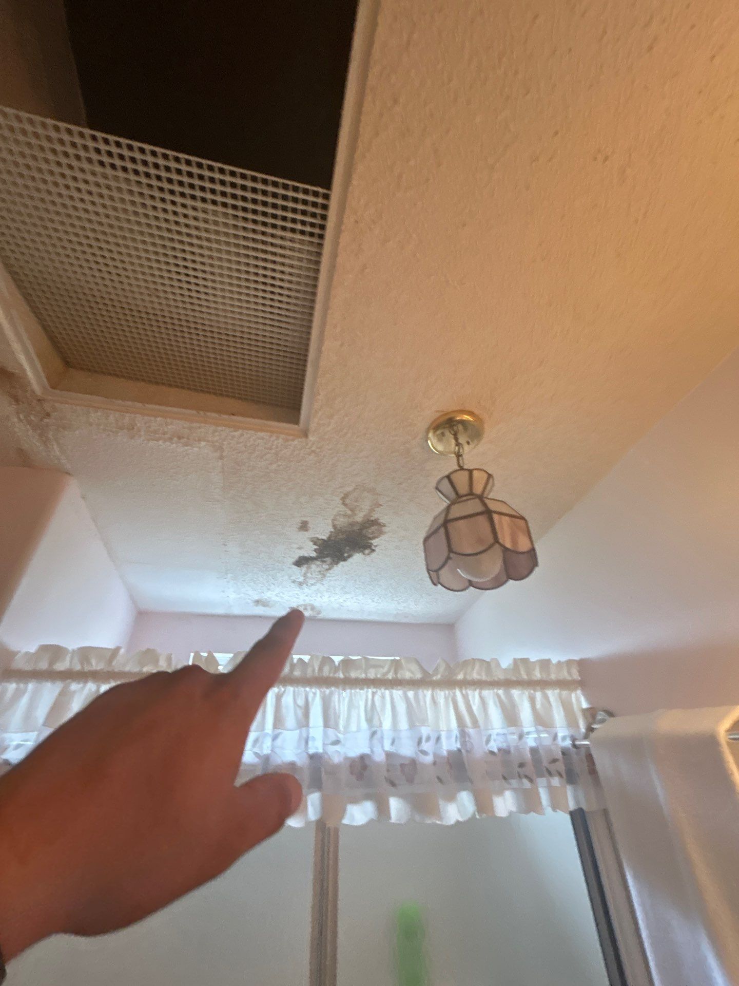 Water Damage In Palmetto by Ampm Restoration Services 
