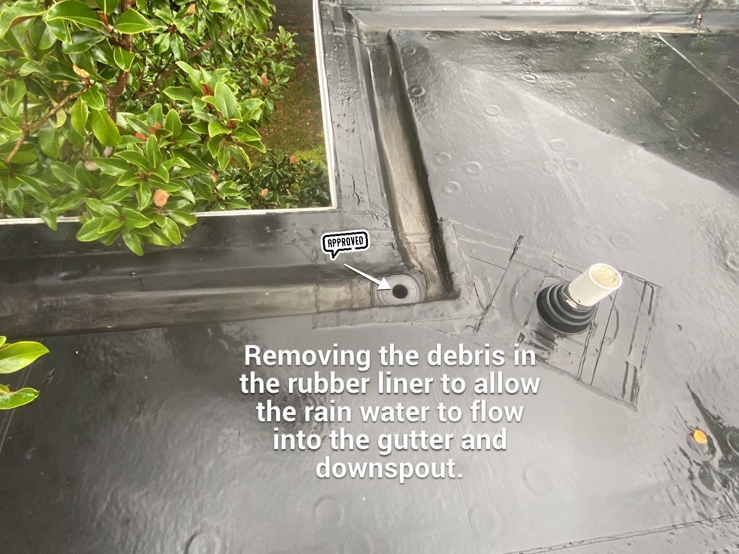 EPDM Repair  by Alpha Design Services