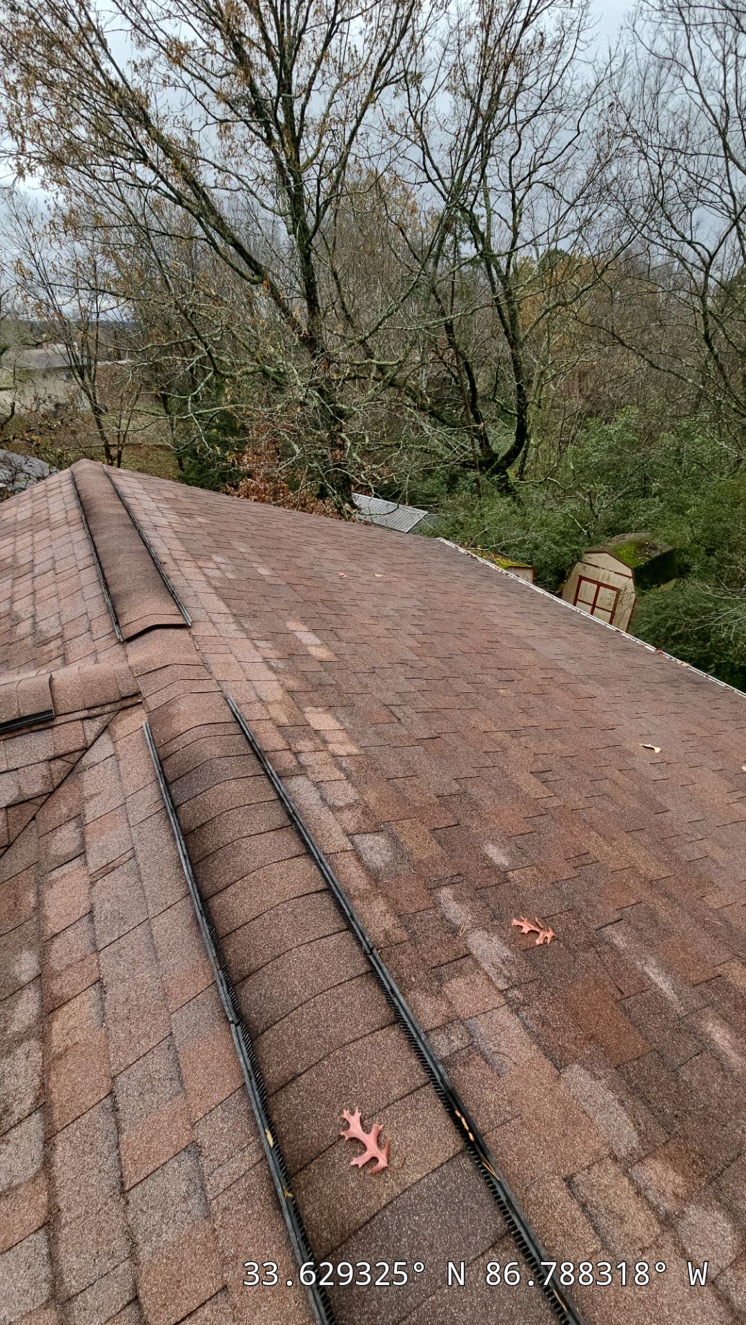 Roof Replacement (Barkwood) and Tree Removal in Birmingham  by The Roofing Dudes