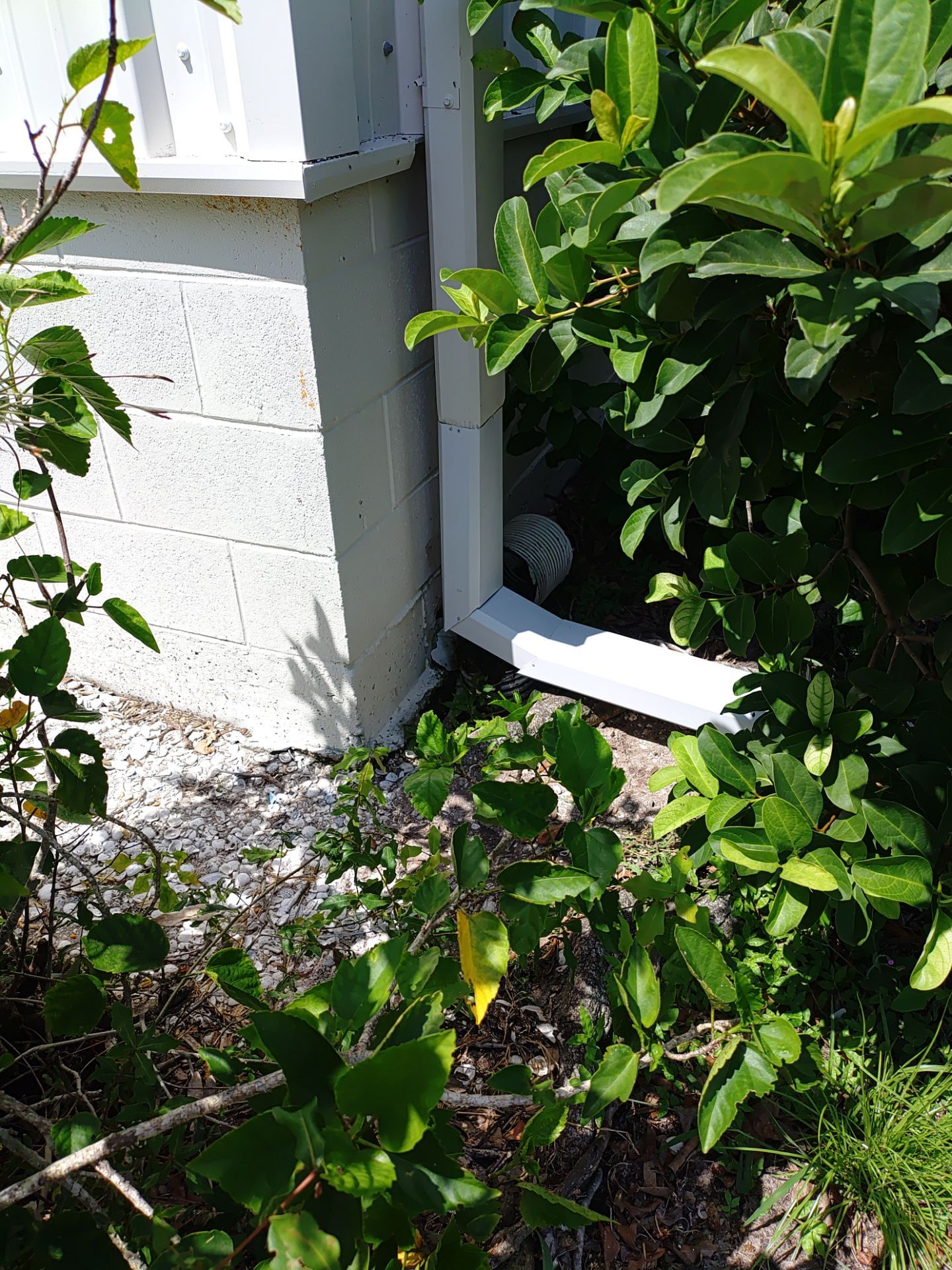 Professional Gutter Cleaning by Gutter Professors
