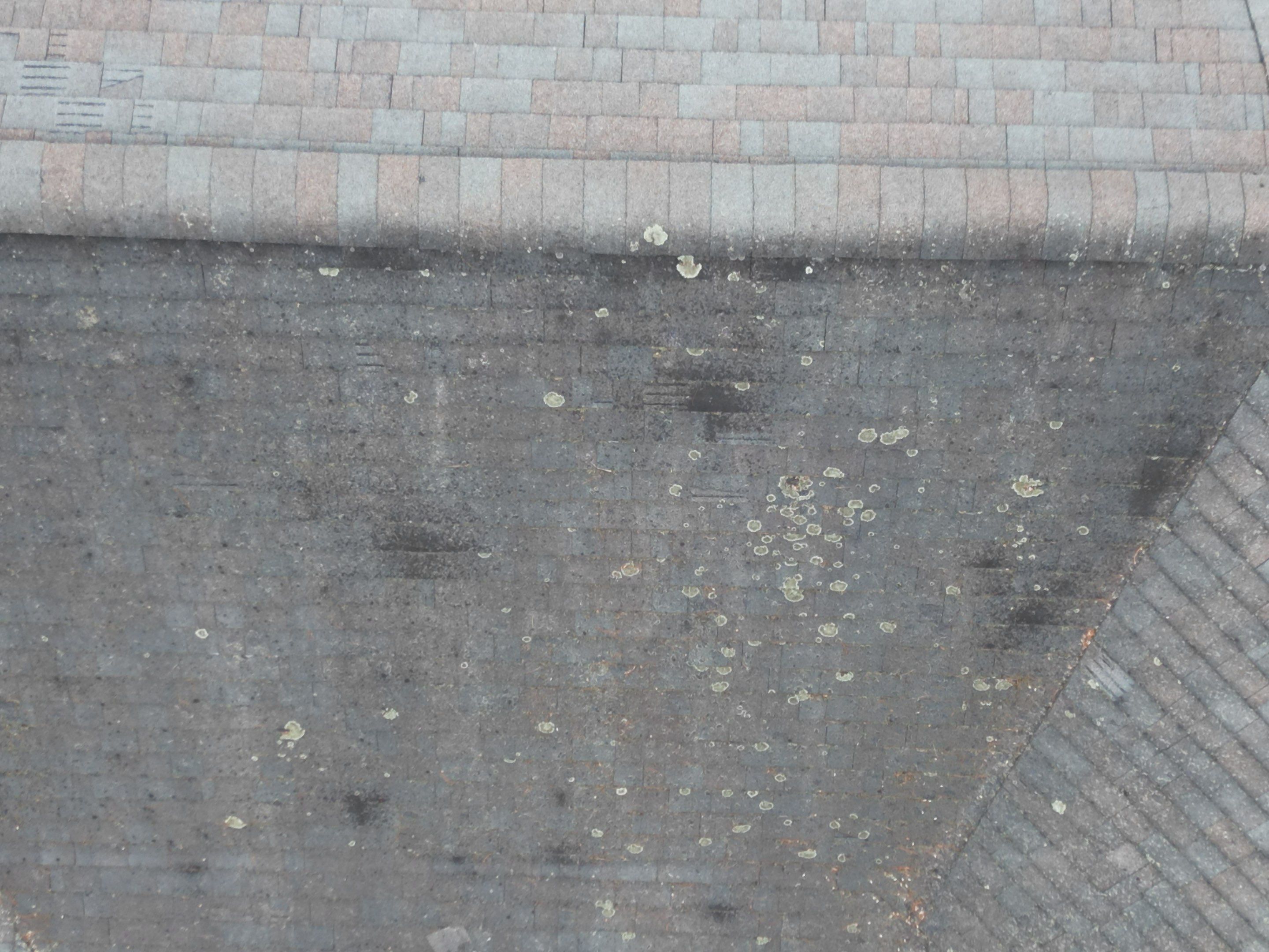 Asphalt Shingle Roof Replacement | Billerica, MA by Mighty Dog Roofing of Greater Middlesex County