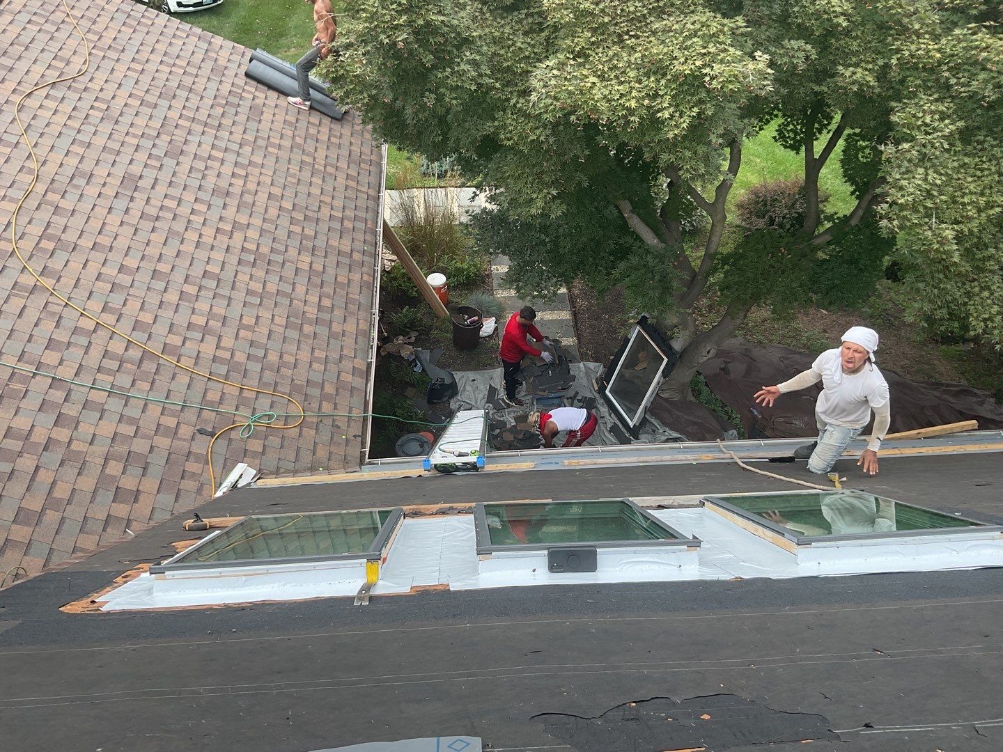 New Shingle Roof, New Skylights, New Windows, Repair T-1 11 panels by Alpha Design Services
