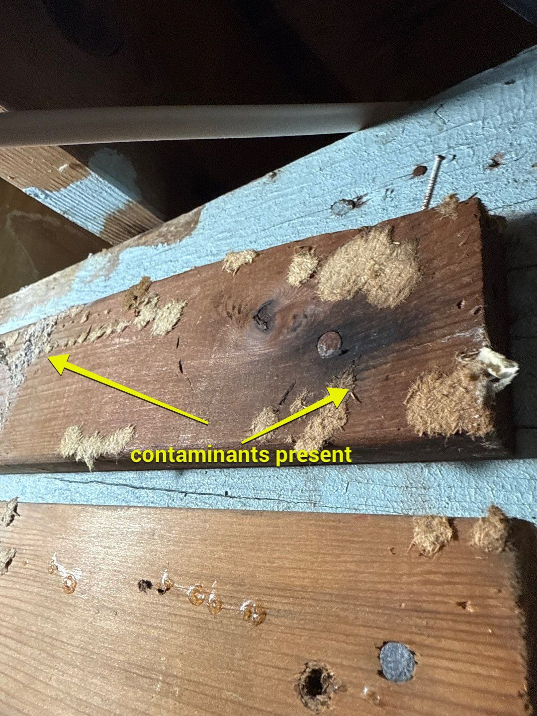 Post‑Remediation Clearance Test & Corrective Mold Remediation, Dover, DE. by Healthy Home Solutions