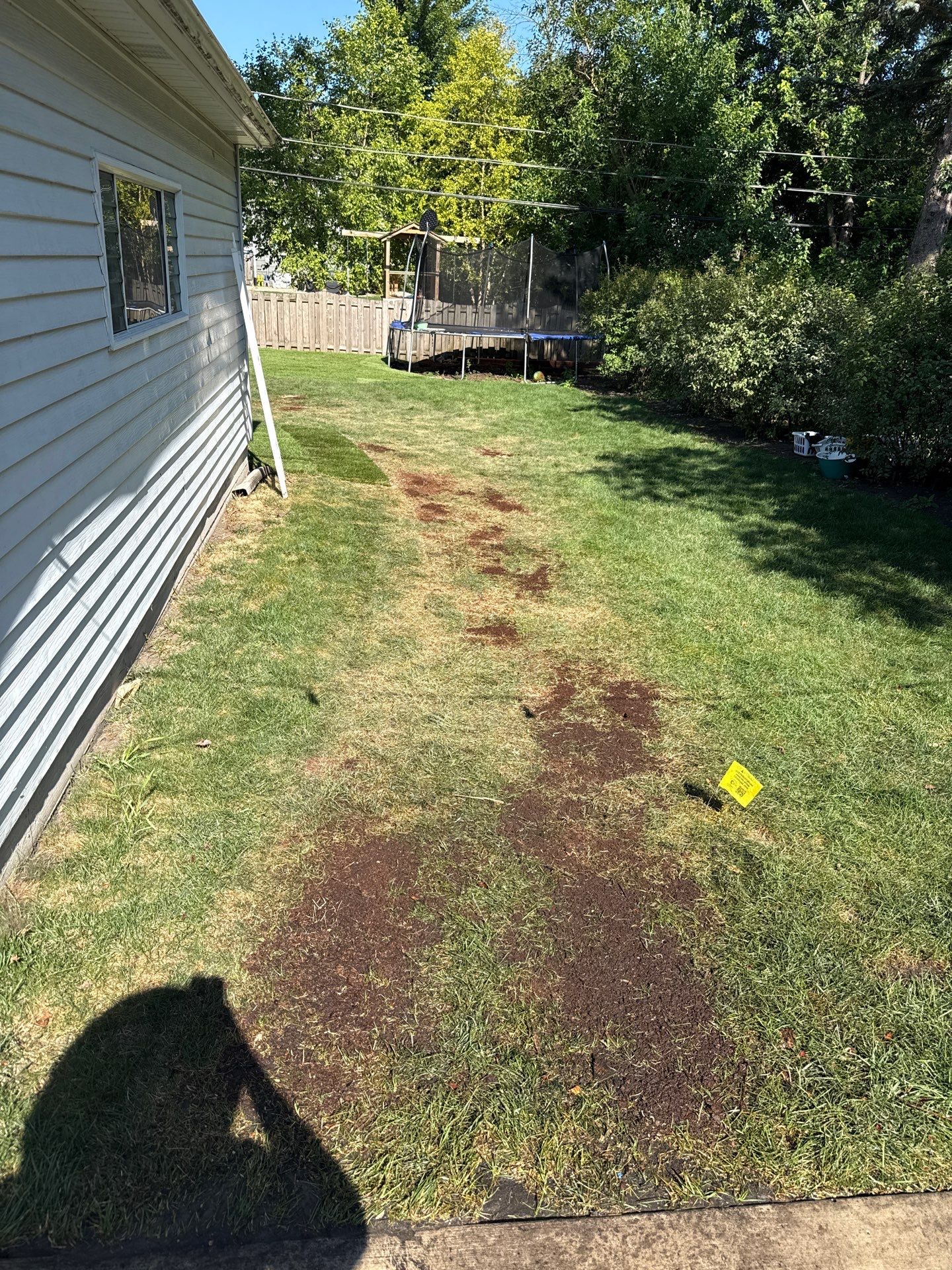 Michael A. - Mount Prospect, IL by A&N
