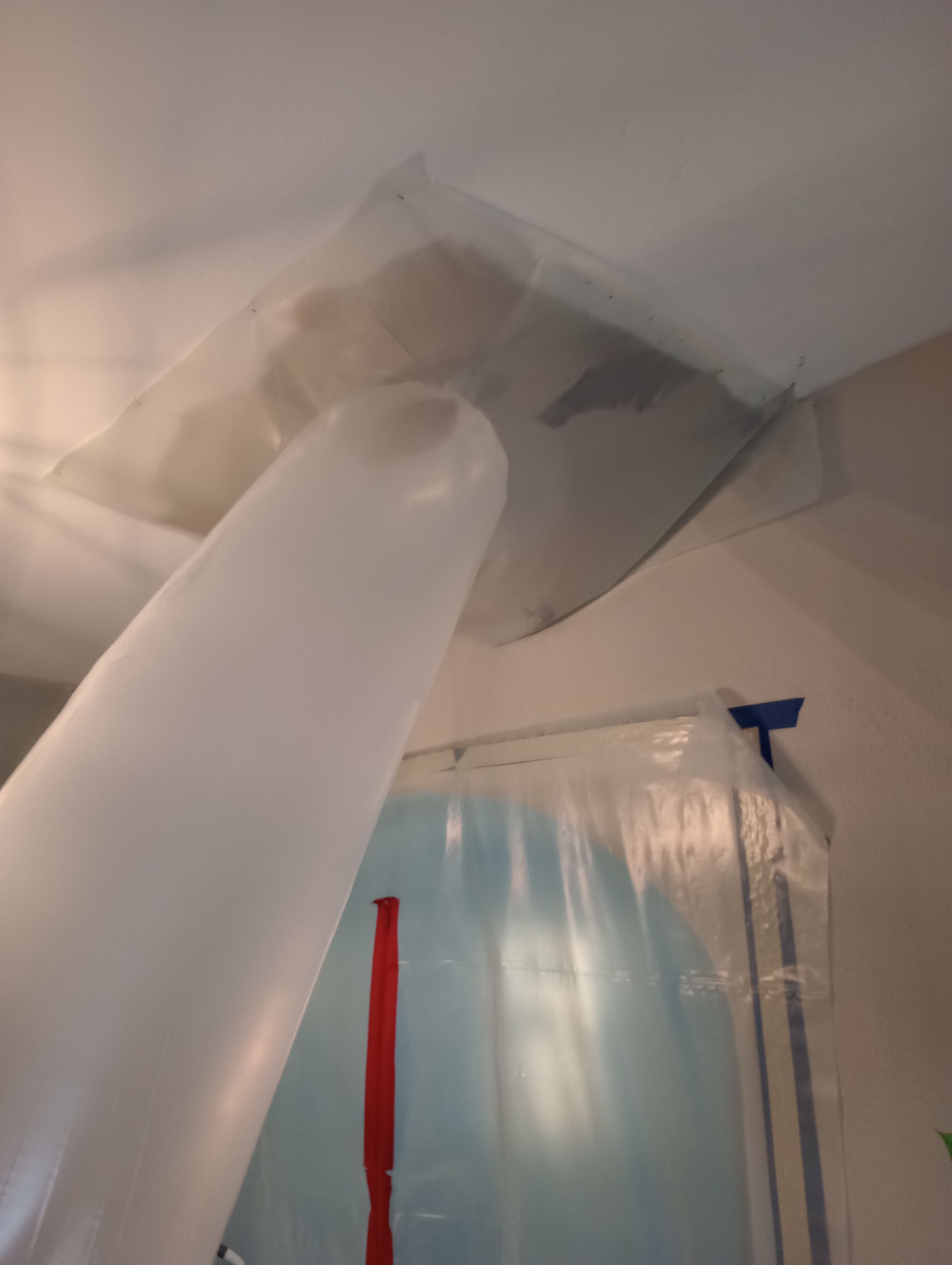 Emergency Service Mold Concern by ANR Restoration