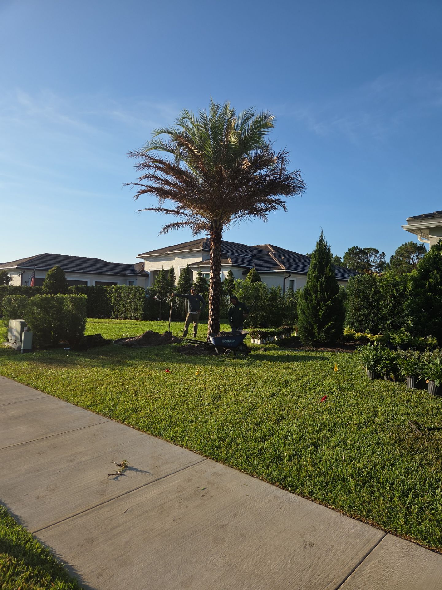 🌴✨ Canopy Creek Landscape Transformation! ✨🌿 by Alpha Zeta Enterprises Inc