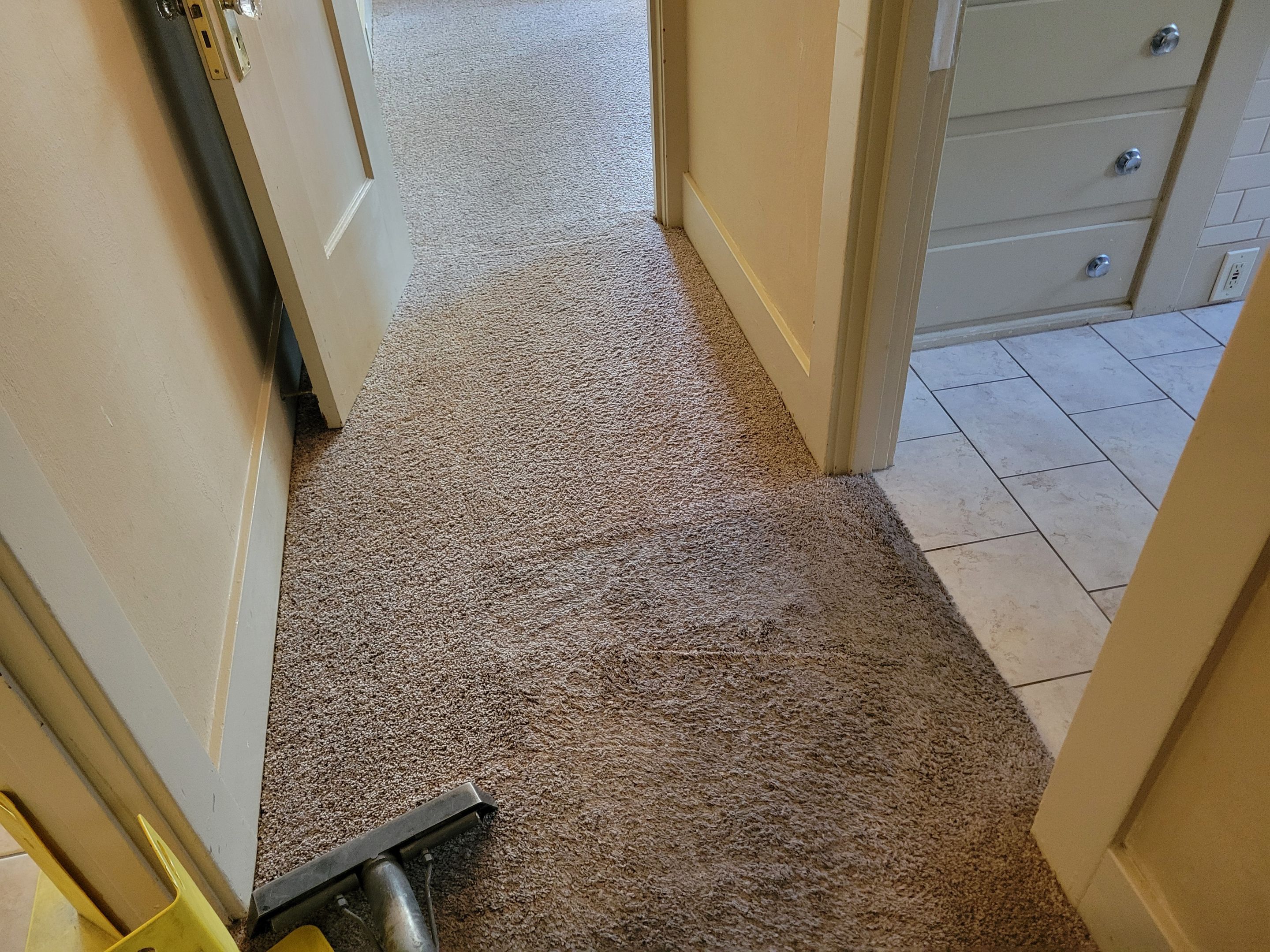 Pet Treatment and Carpet Cleaning by Ardent Carpet Restore LLC