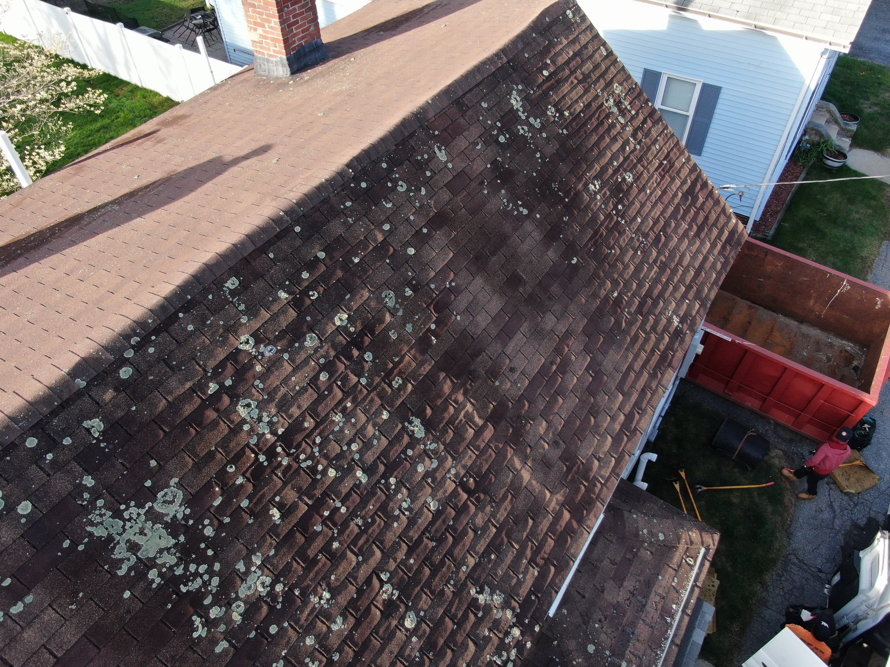 Roof Replacement with Owens Corning TruDefinition Shingles in Midnight Plum by Mighty Dog Roofing of Greater Middlesex County