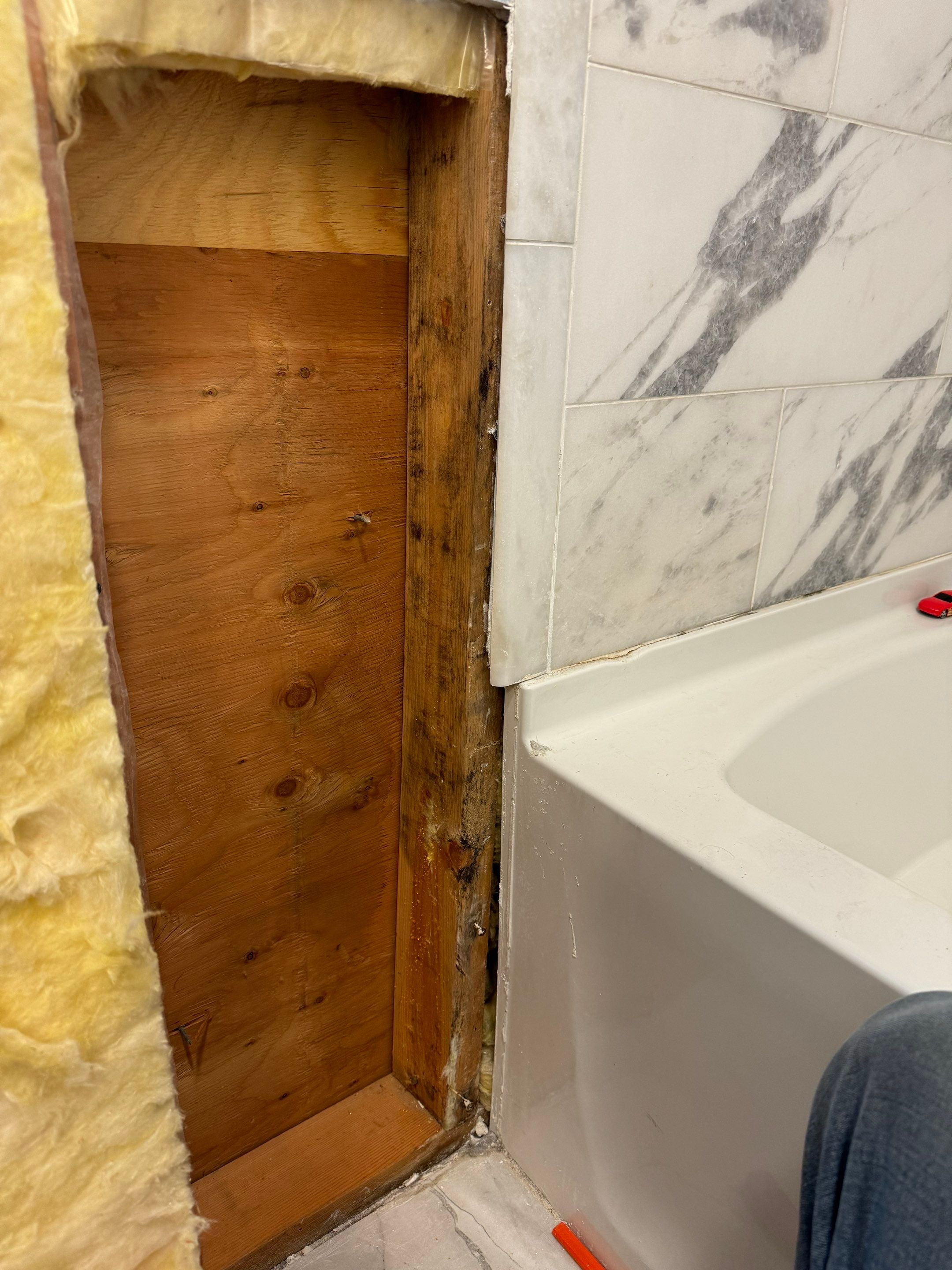 Bathroom Mold Remediation by Home Guarantee, LLC