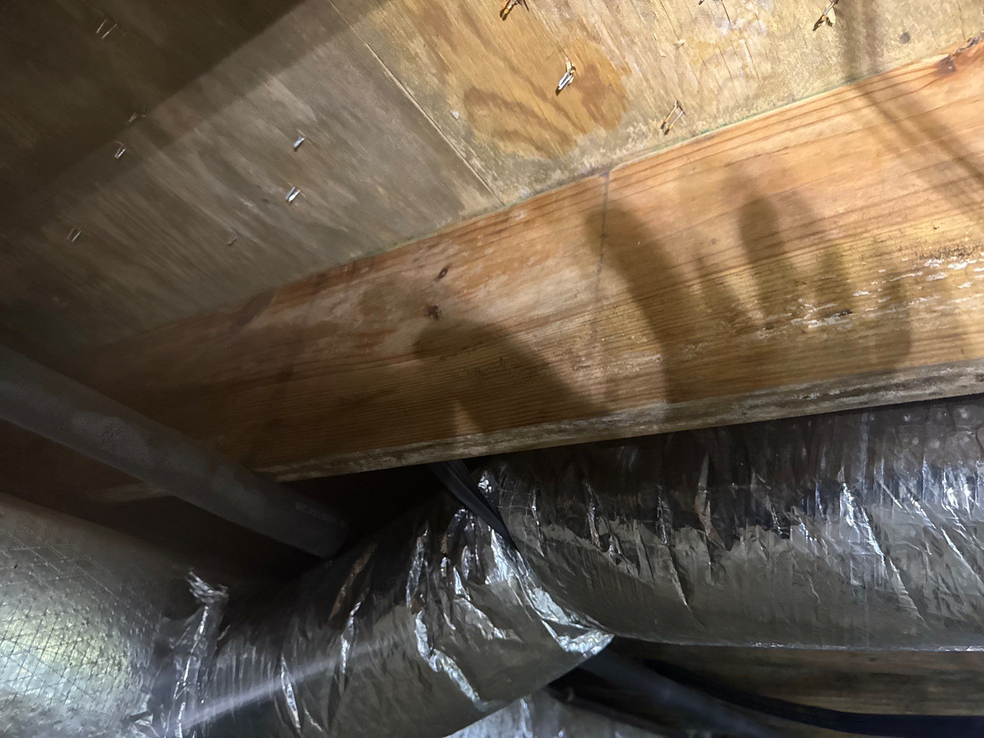 Project in Williamsburg by Patriot Crawl Space Repairs