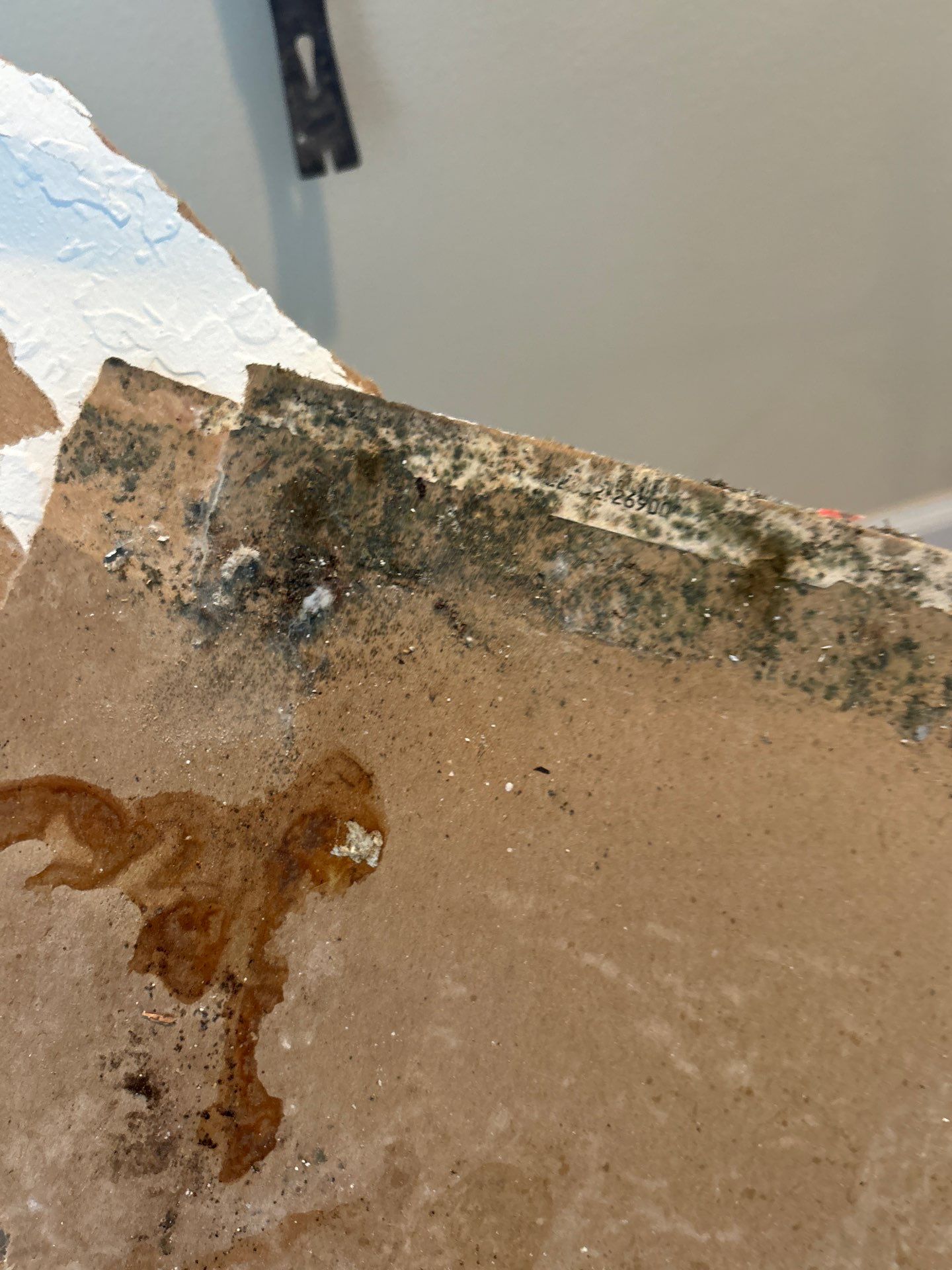 Water Damage Restoration & Repair In Anna Maria, FL by Ampm Restoration Services