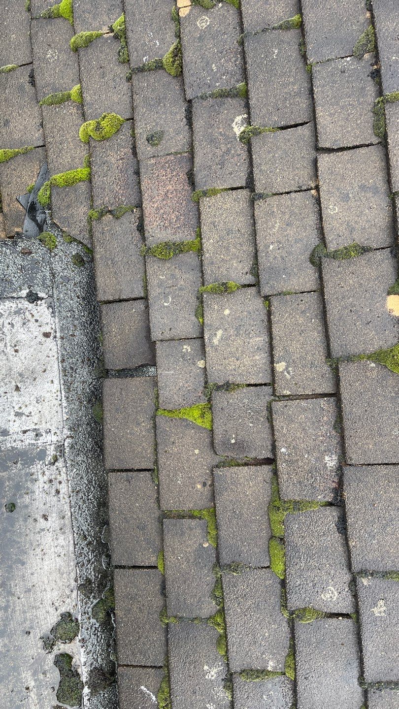 Roof Clean - Biocide Treatment using Honda 15lpm Low Pressure Washing Machine by Ges Exterior Cleaning ltd