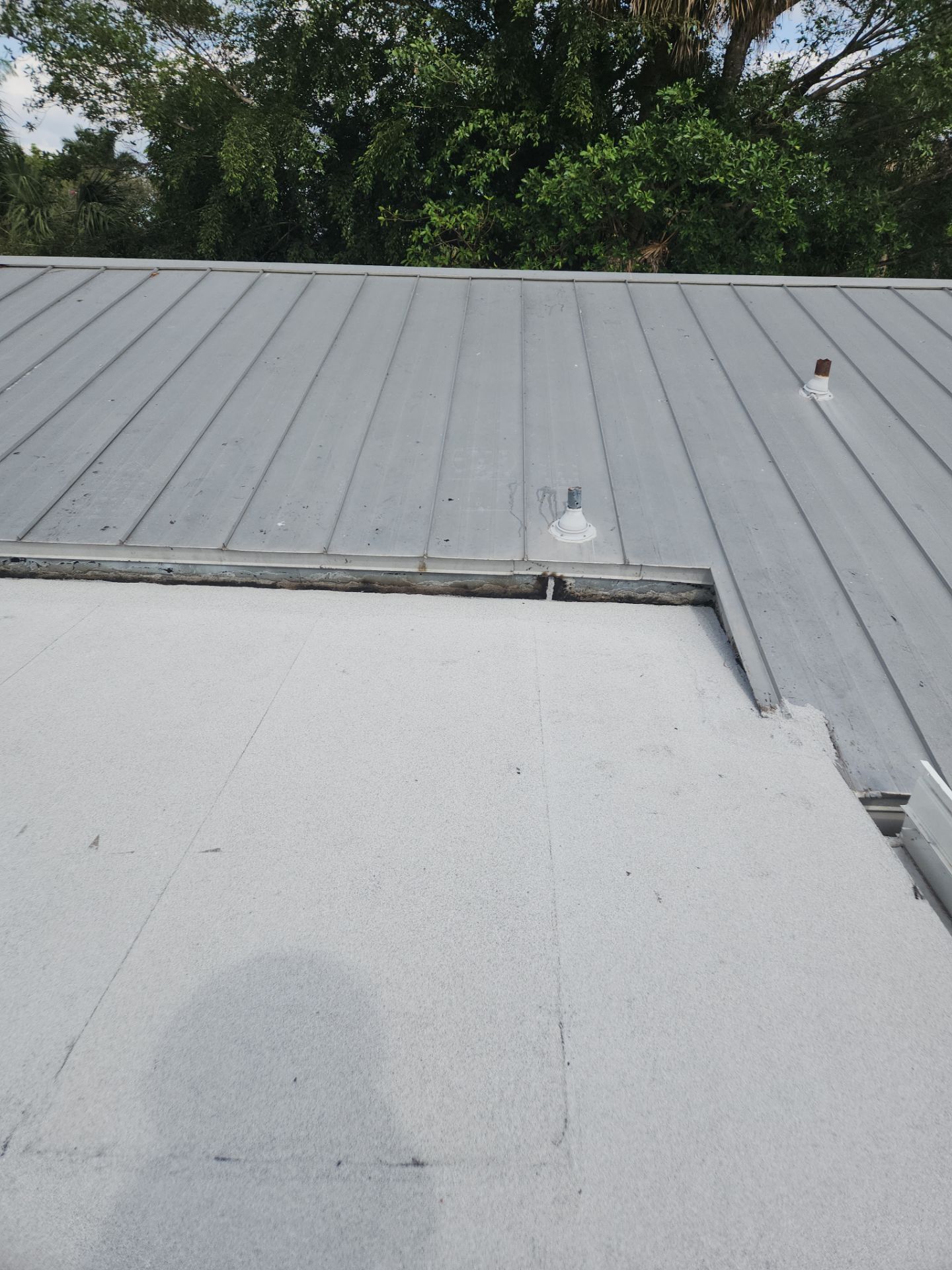 Flat Roof Replacement and Fascia Repair in Margate by Aastro Roofing