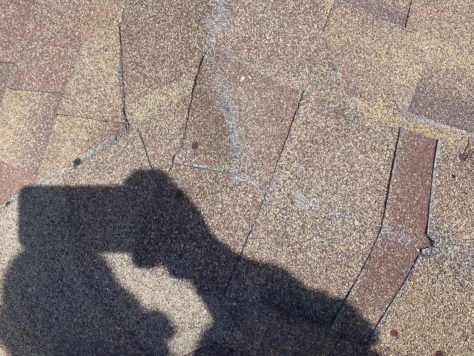 Hail Damage using Owen's Corning Duration (Lifetime) Shingles by Roof Repair Services LLC