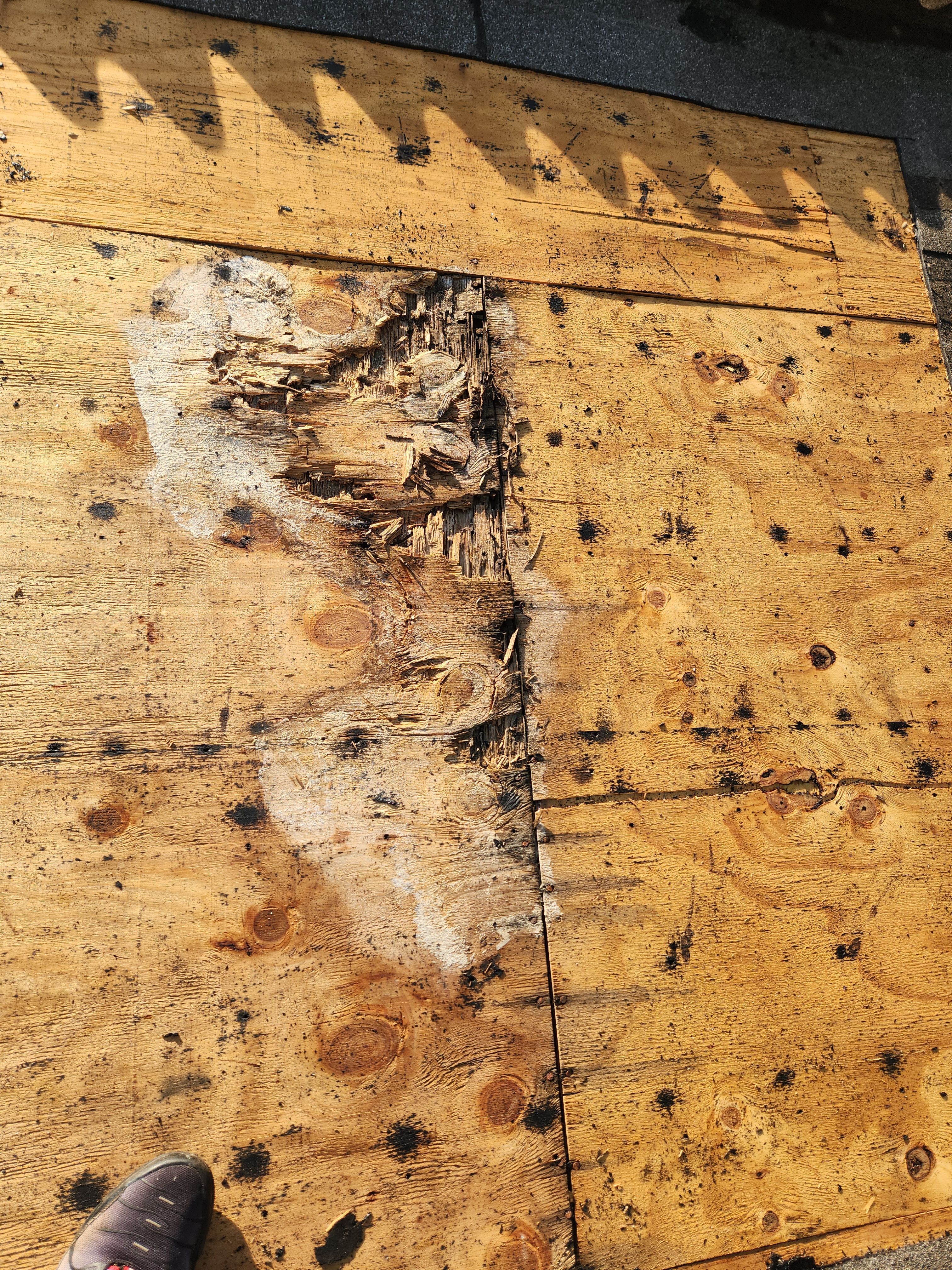 Concrete Tile Roof Repair for Water Intrusion in West Palm Beach by Aastro Roofing