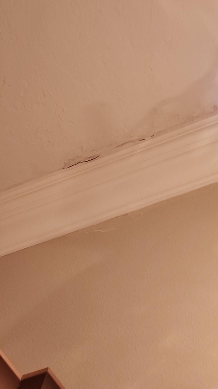 HVAC MOLD ASSESMENT by Building performance Solutions LLC
