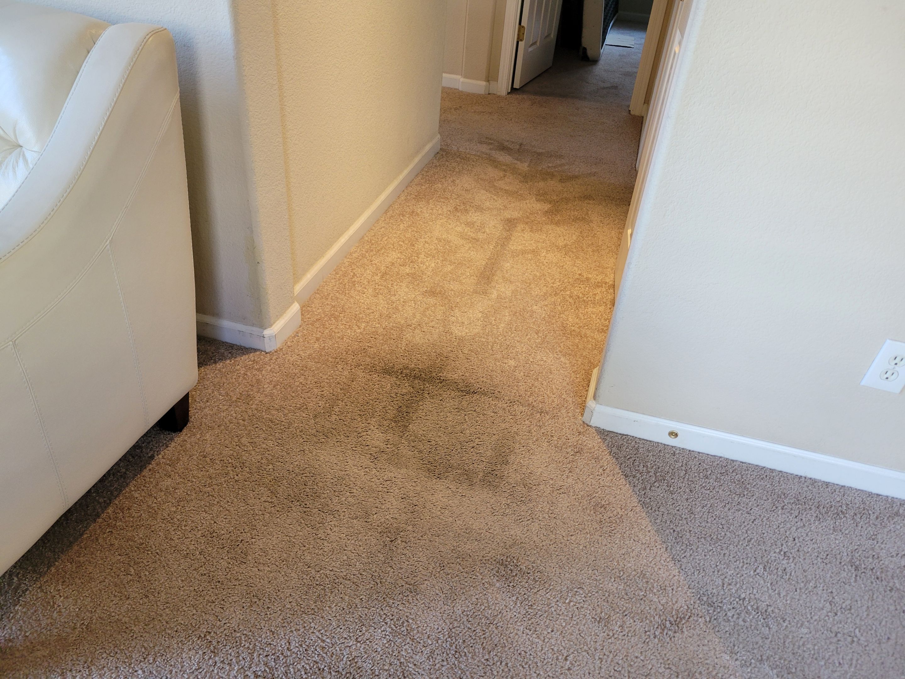 Carpet Re-stretching and Corrective Repair by Ardent Carpet Restore LLC