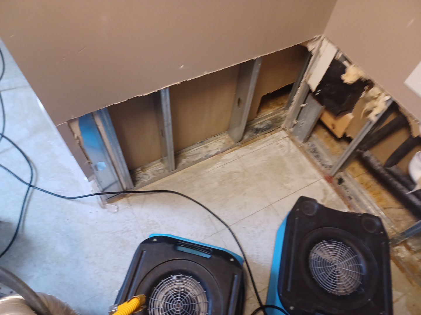 Project in Commerce Township by EzDry Water Mitigation & Property Restoration