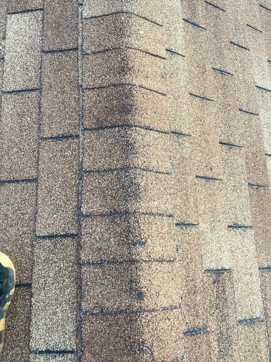 Veronica's Full Re-roof by All Storm Roofing & Construction