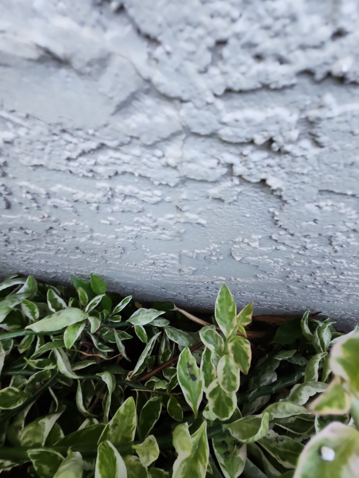 Project in Lakewood Ranch by Sunbelt Home Solutions